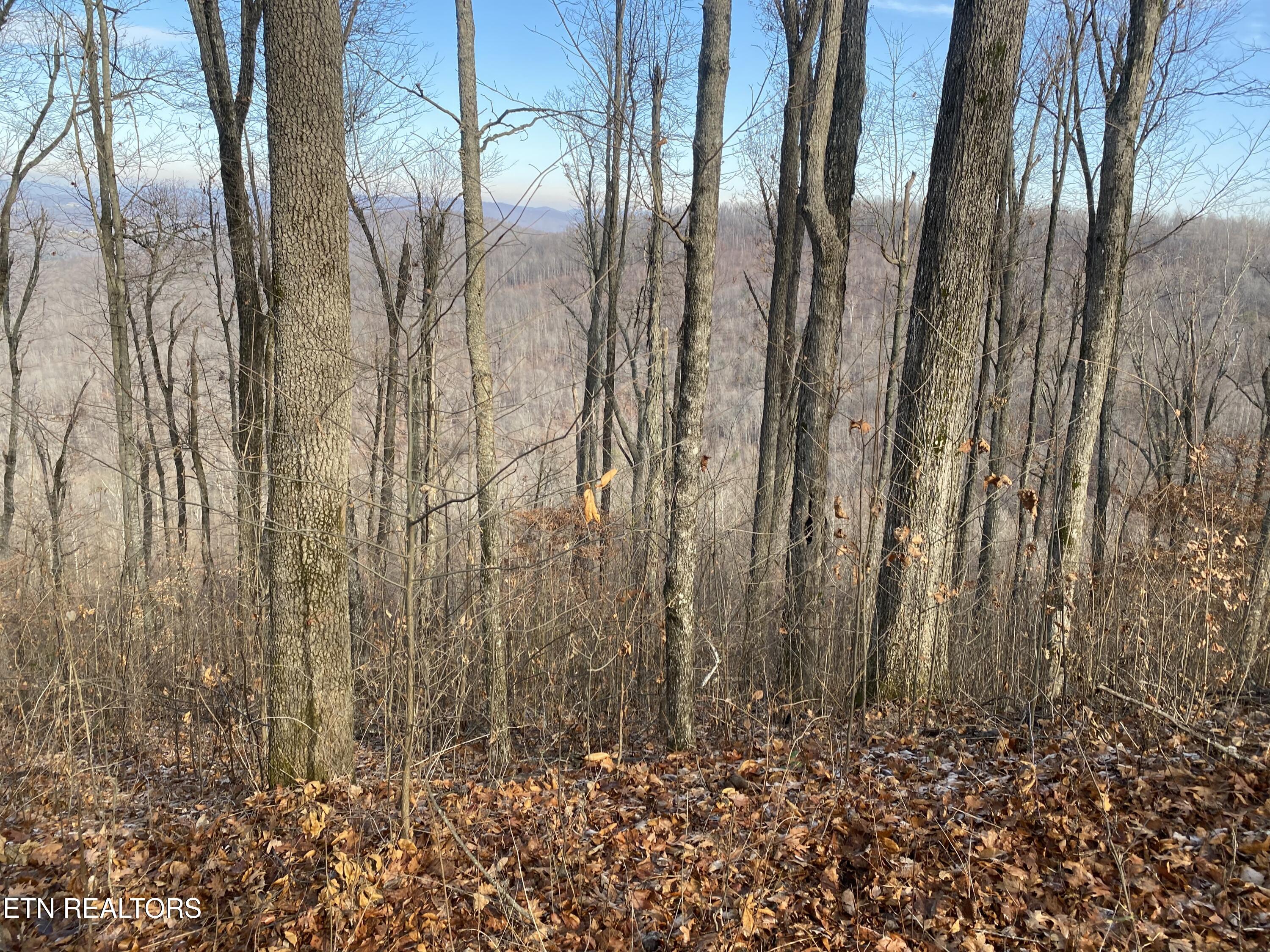 Double Top Road Jamestown TN 38556
