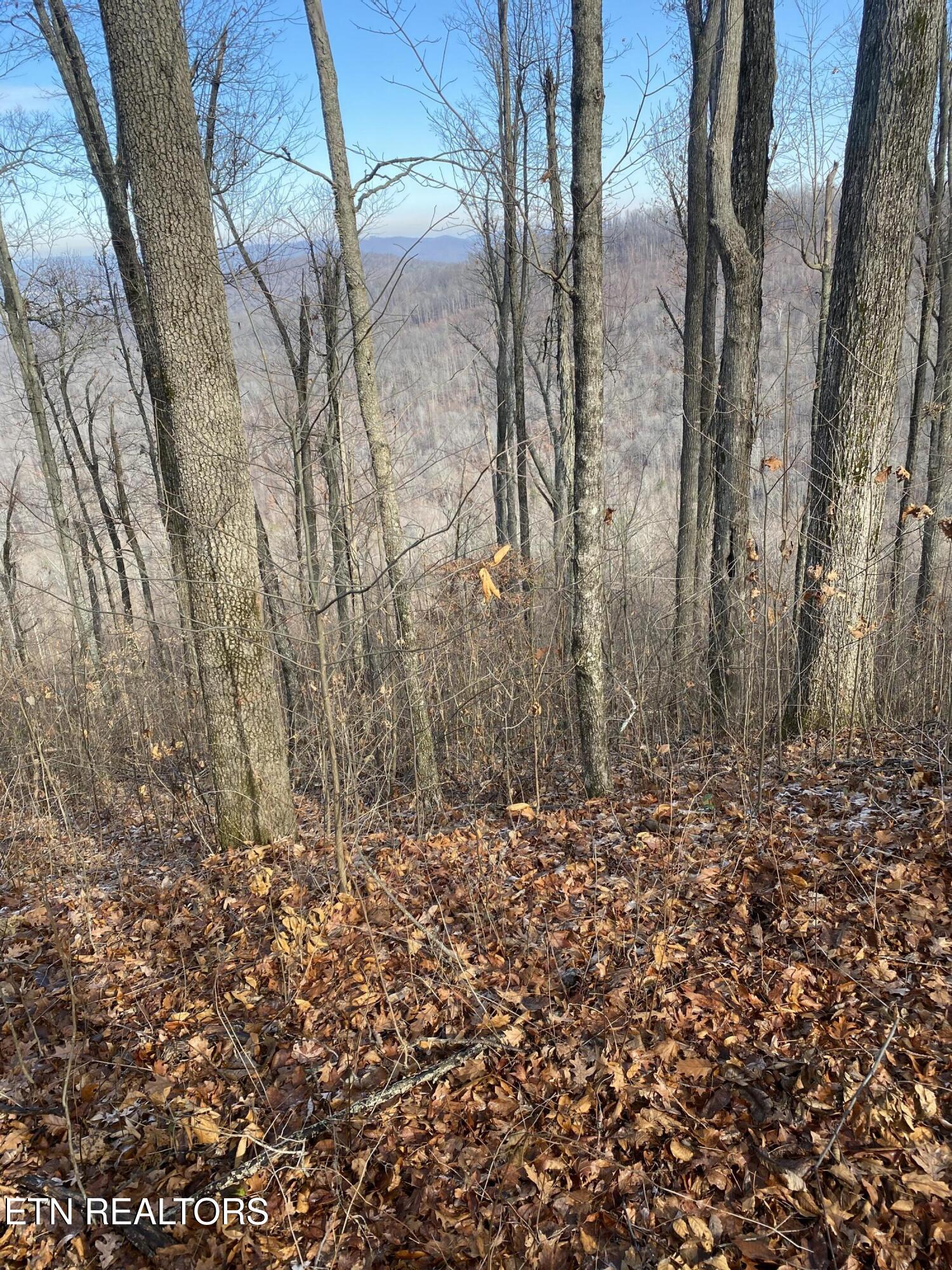 Double Top Road Jamestown TN 38556