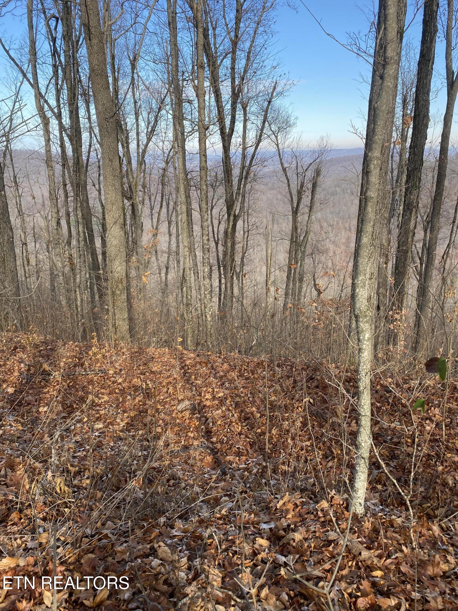 Double Top Road Jamestown TN 38556