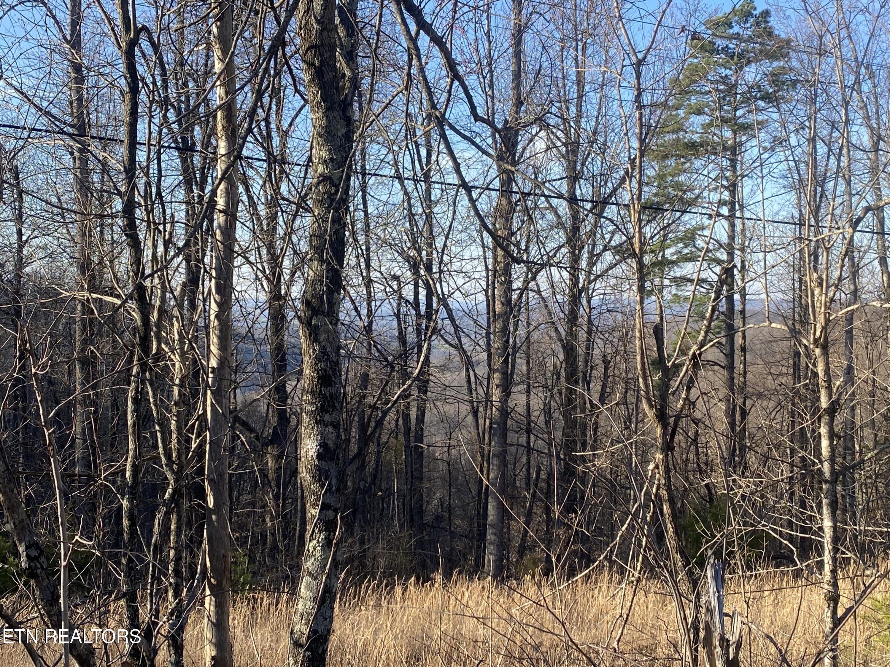 Double Top Road Jamestown TN 38556