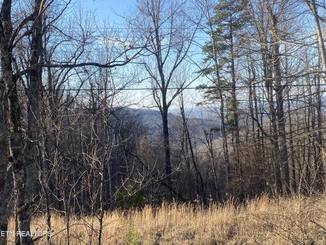 Double Top Road Jamestown TN 38556