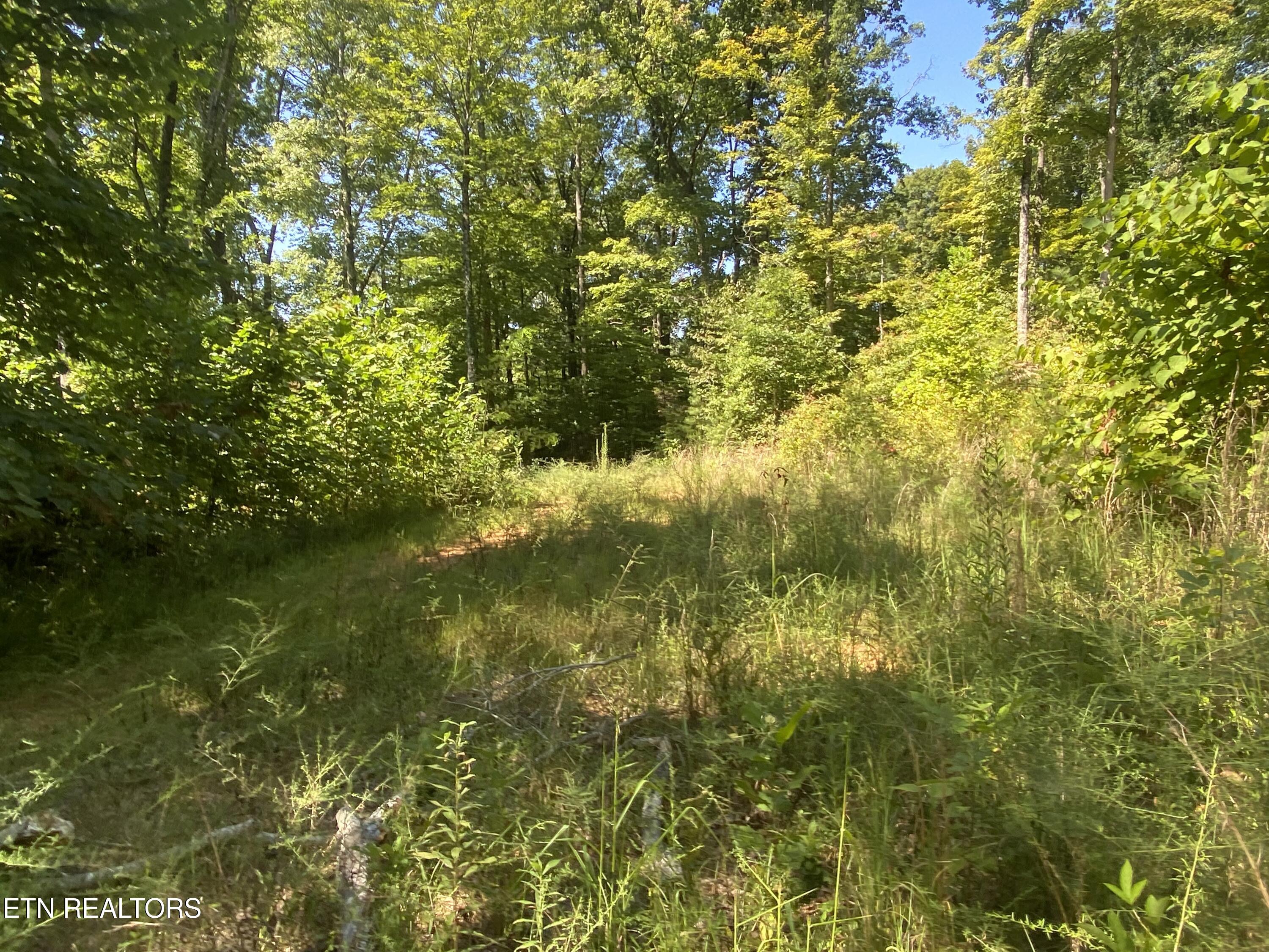 Double Top Road Jamestown TN 38556
