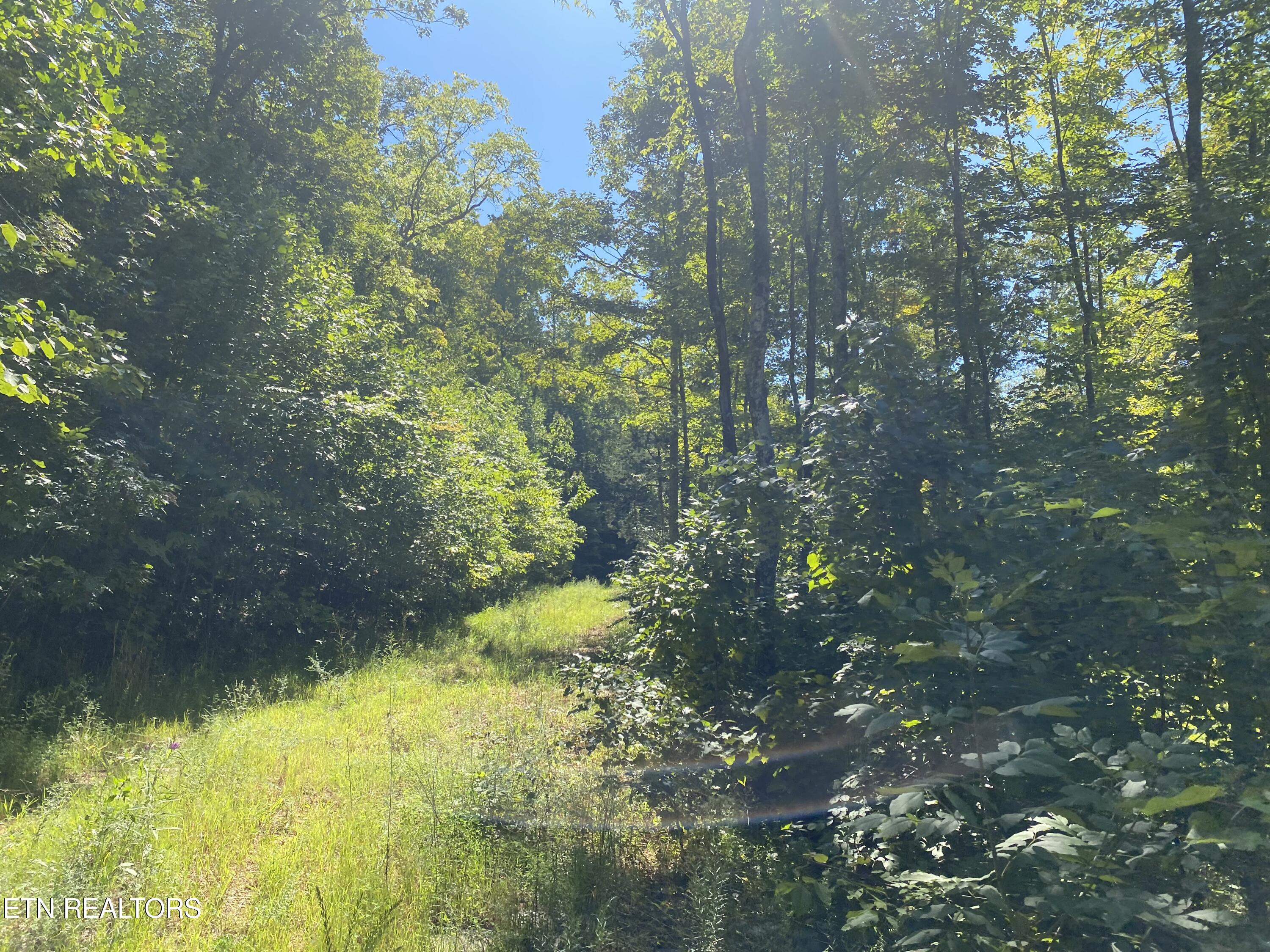 Double Top Road Jamestown TN 38556