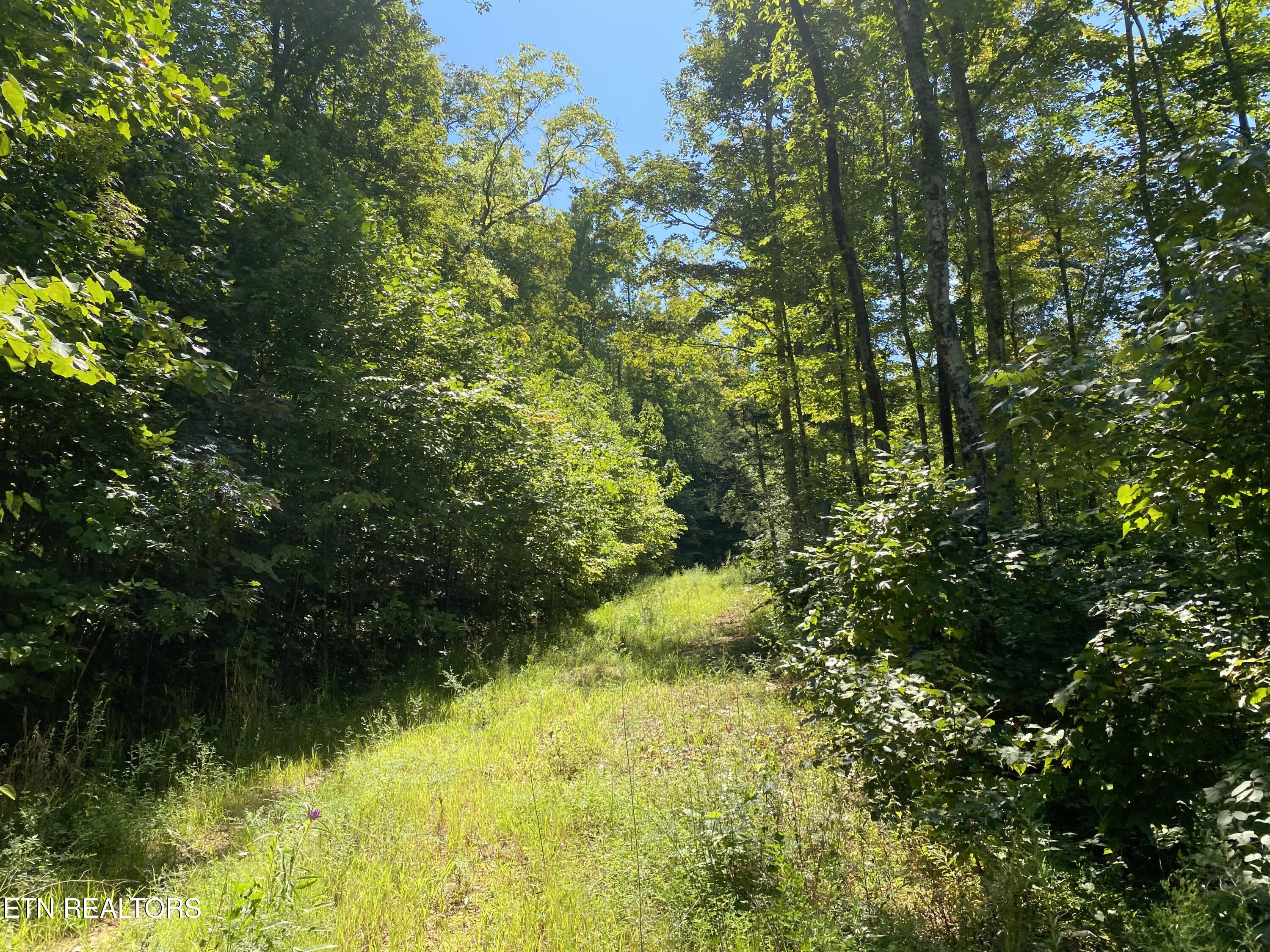 Double Top Road Jamestown TN 38556