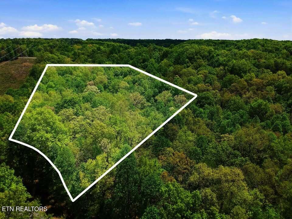0 T Road Monterey TN 38574