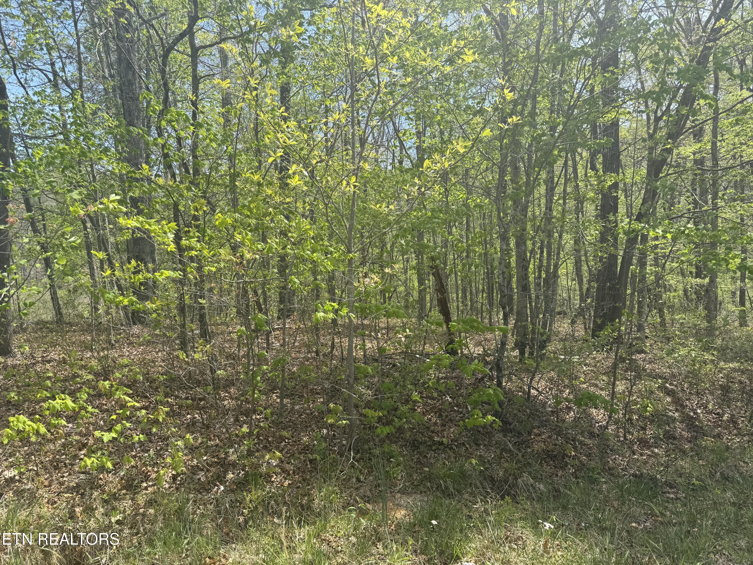 0 T Road Monterey TN 38574