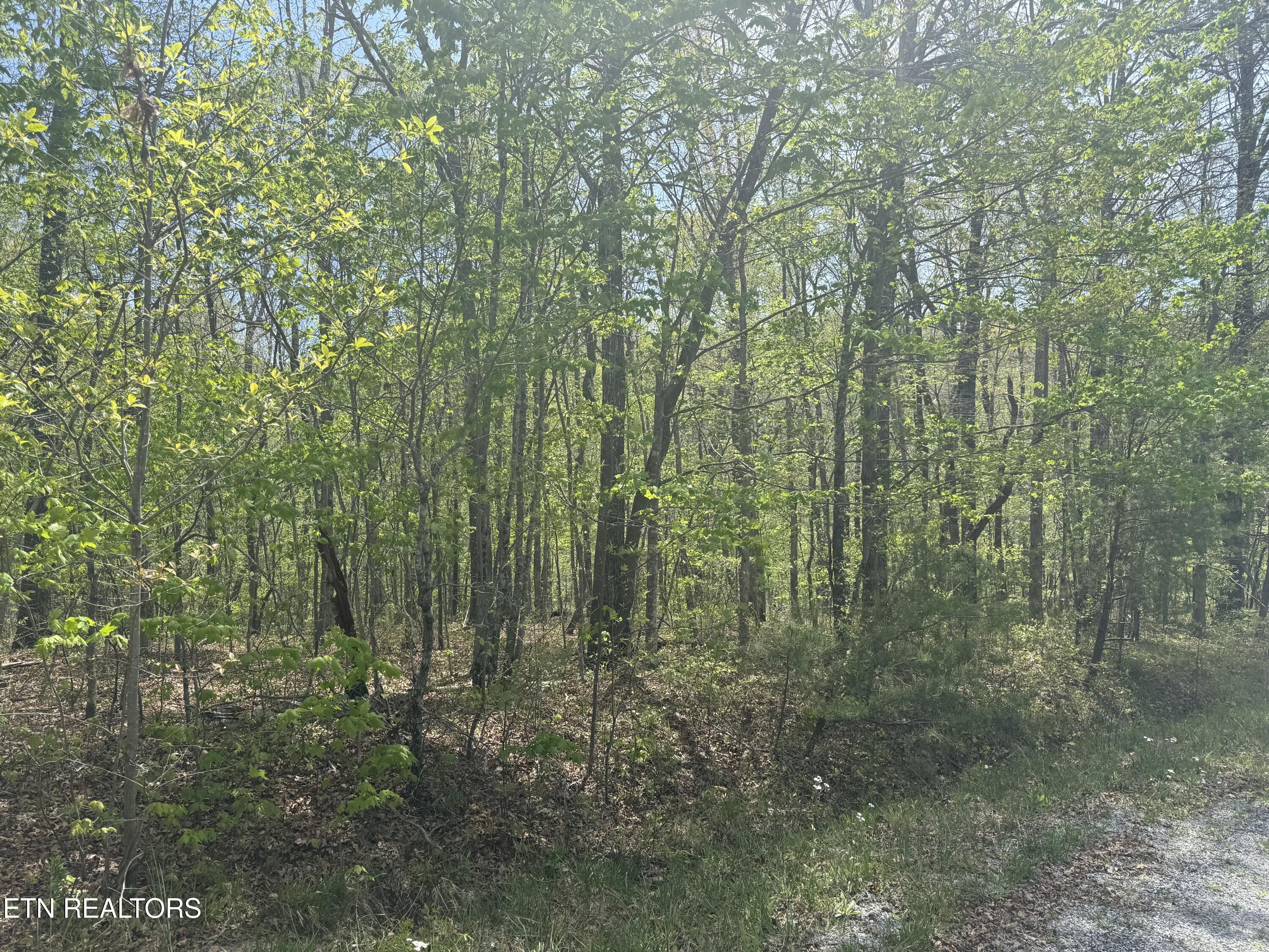 0 T Road Monterey TN 38574