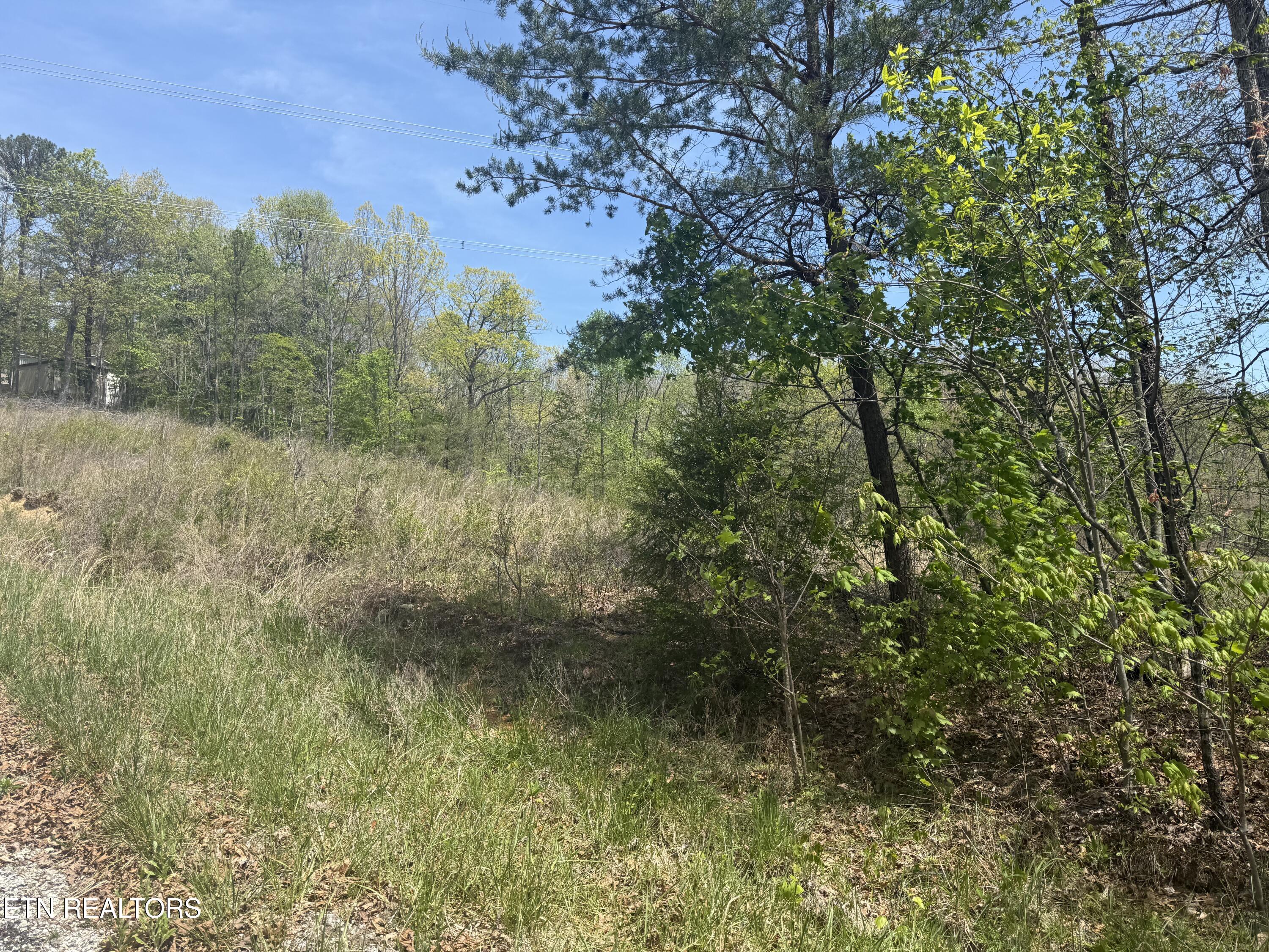 0 T Road Monterey TN 38574