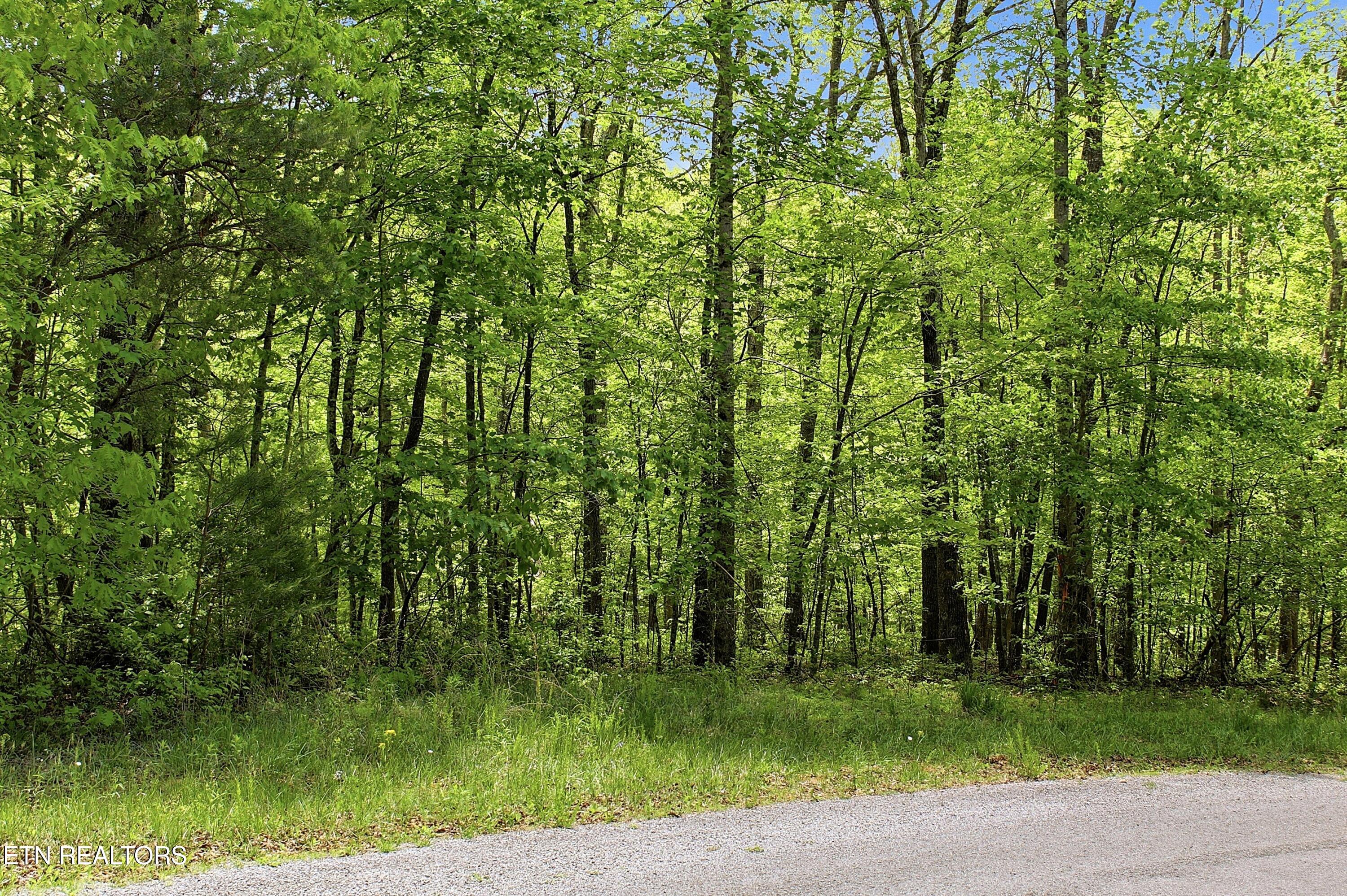 0 T Road Monterey TN 38574