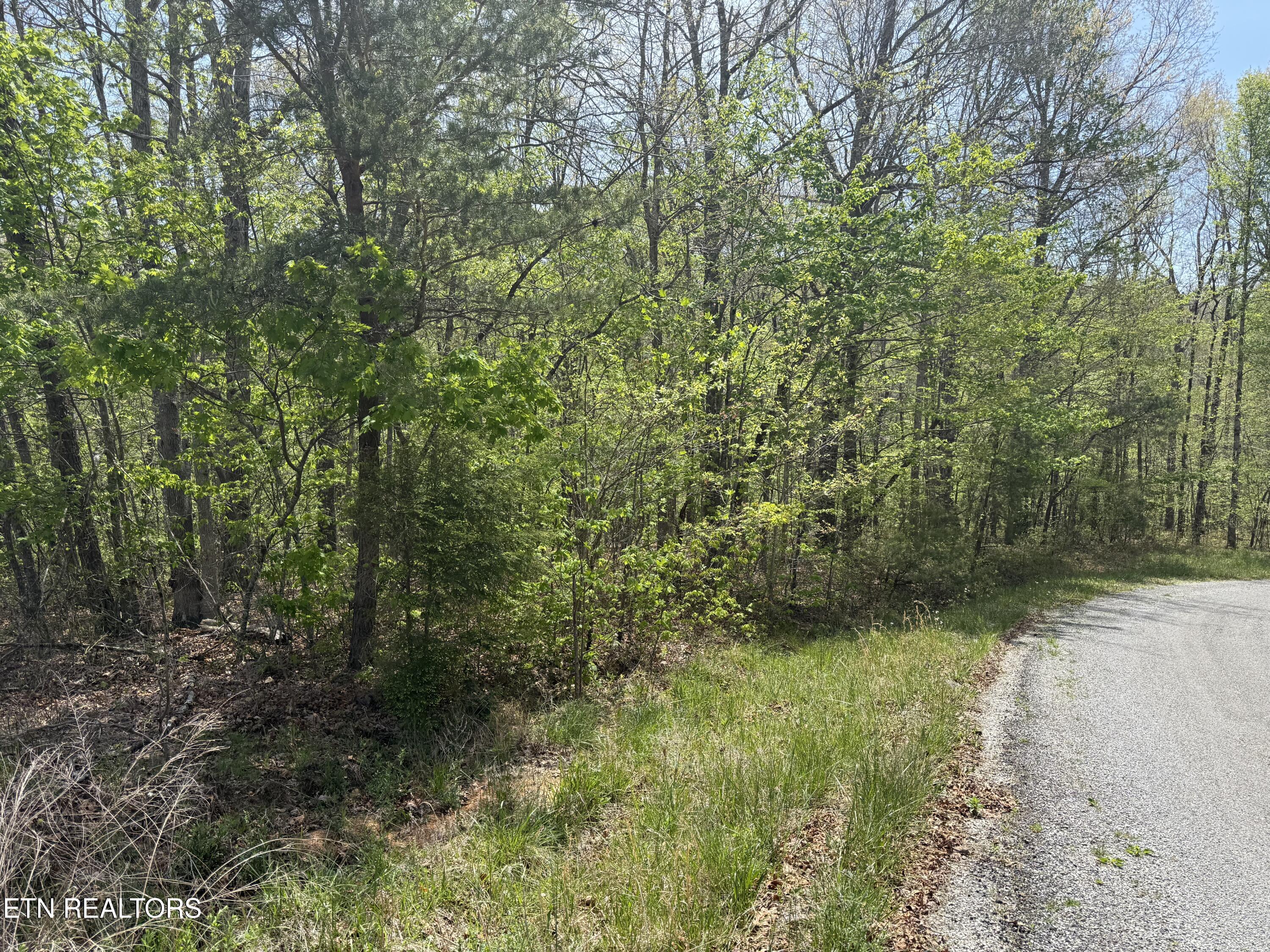 0 T Road Monterey TN 38574