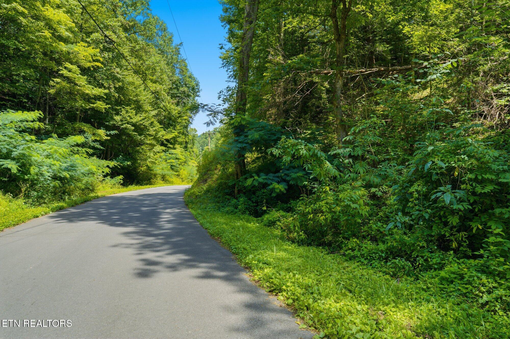 Lot #4 Gnatty Branch Road Sevierville TN 37876