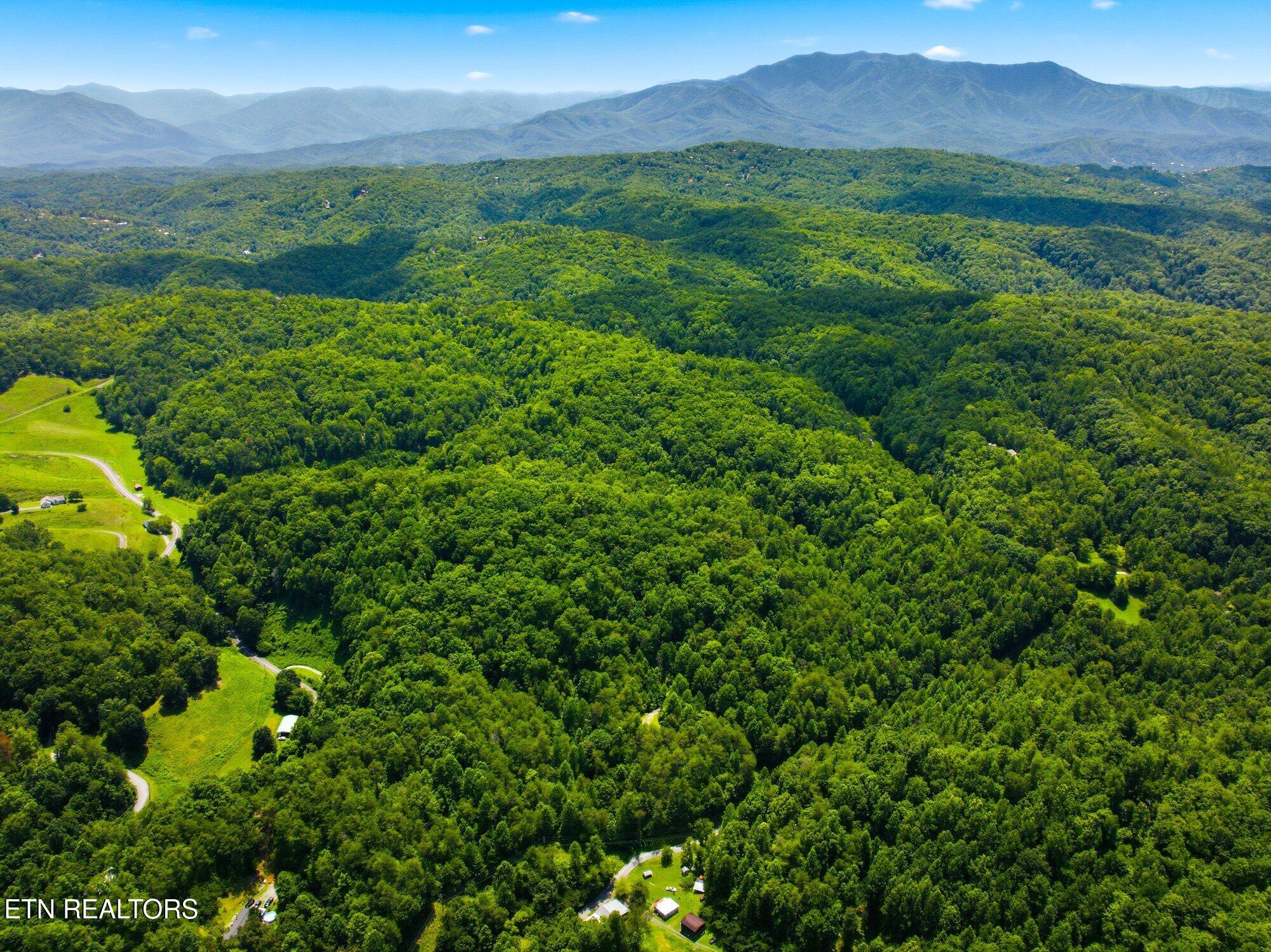 Lot #4 Gnatty Branch Road Sevierville TN 37876