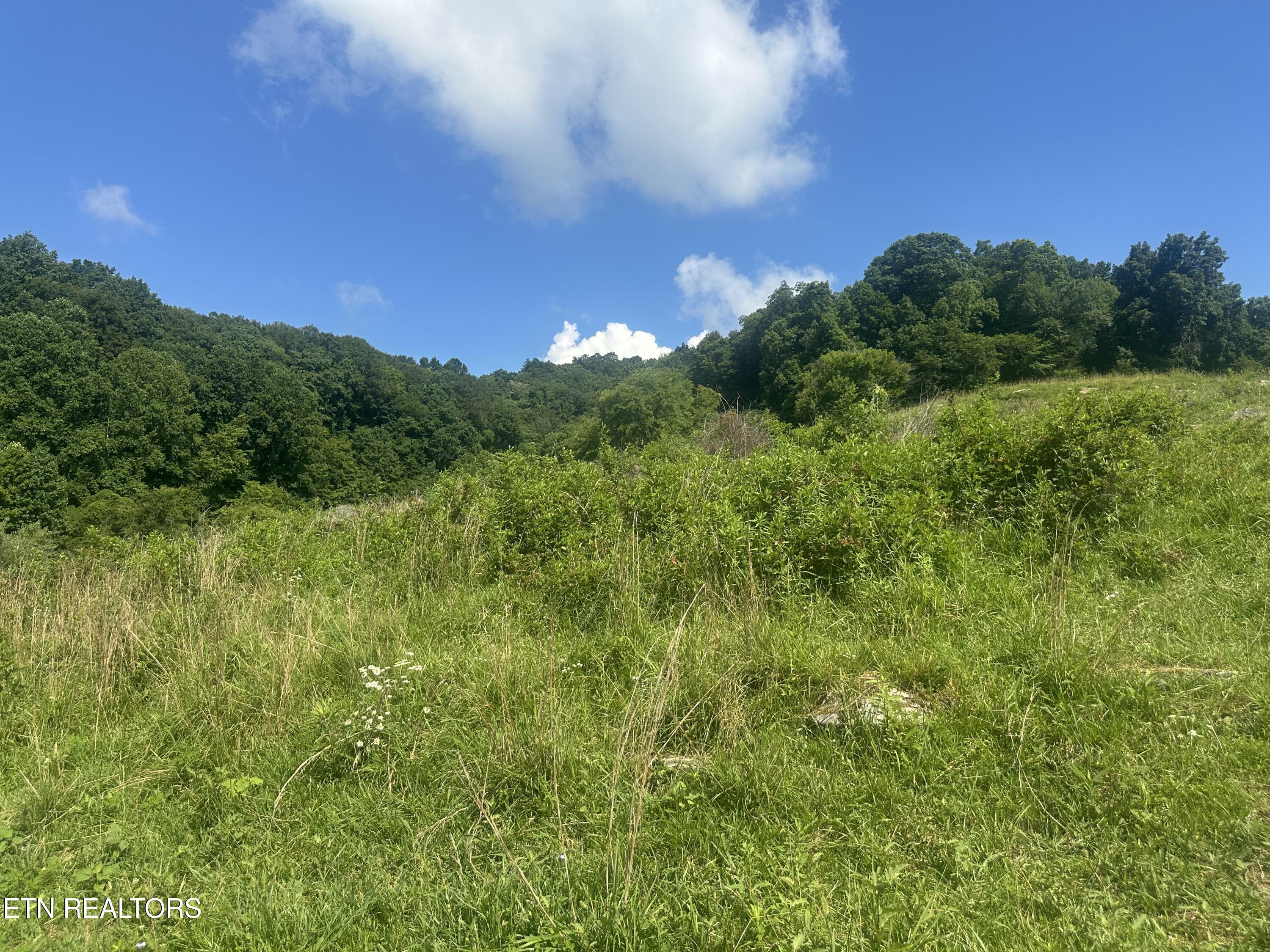Cumberland Estates Road Cumberland Gap TN 37724