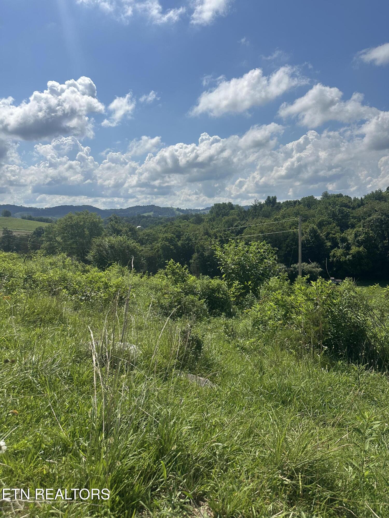 Cumberland Estates Road Cumberland Gap TN 37724