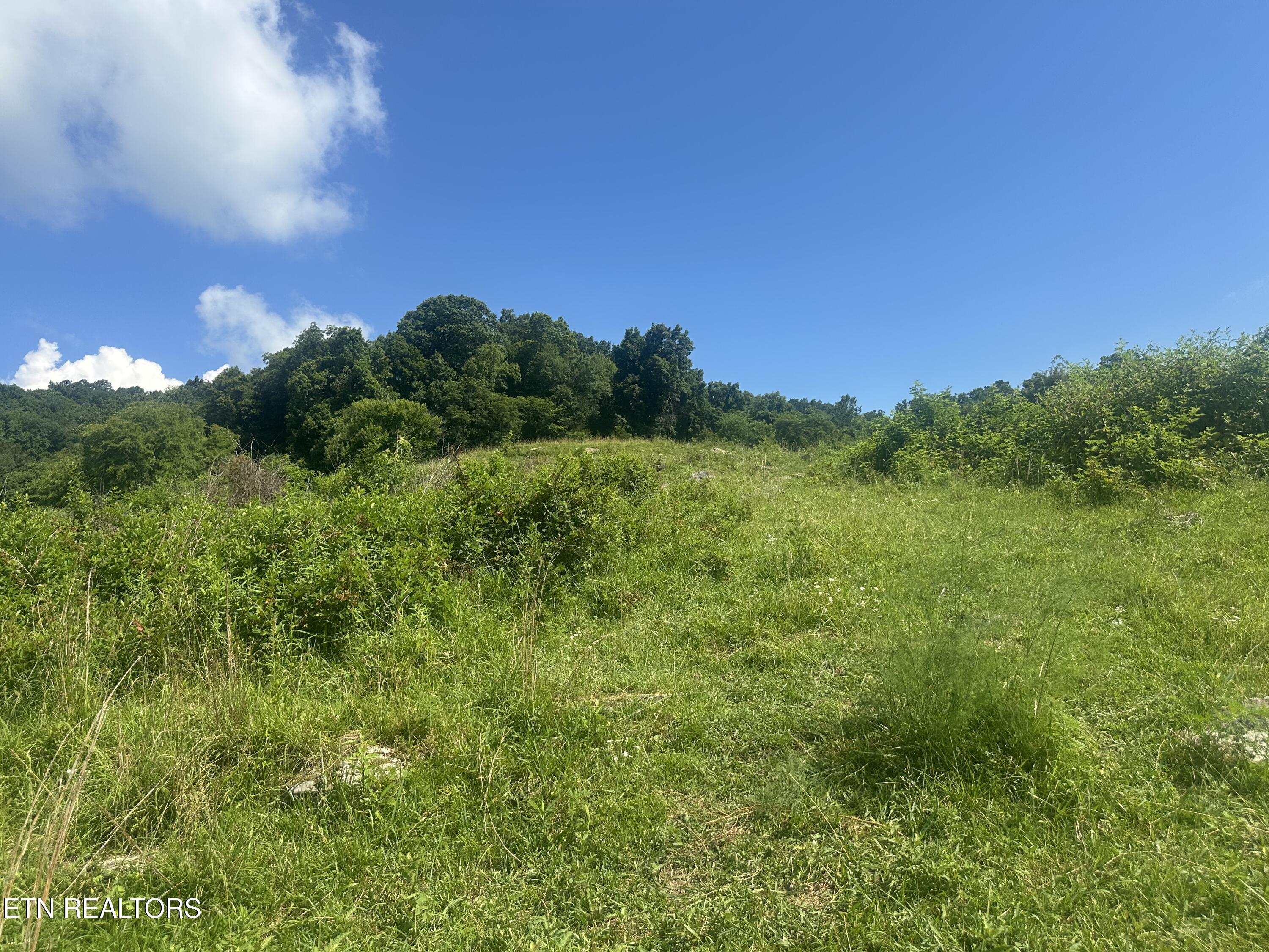 Cumberland Estates Road Cumberland Gap TN 37724
