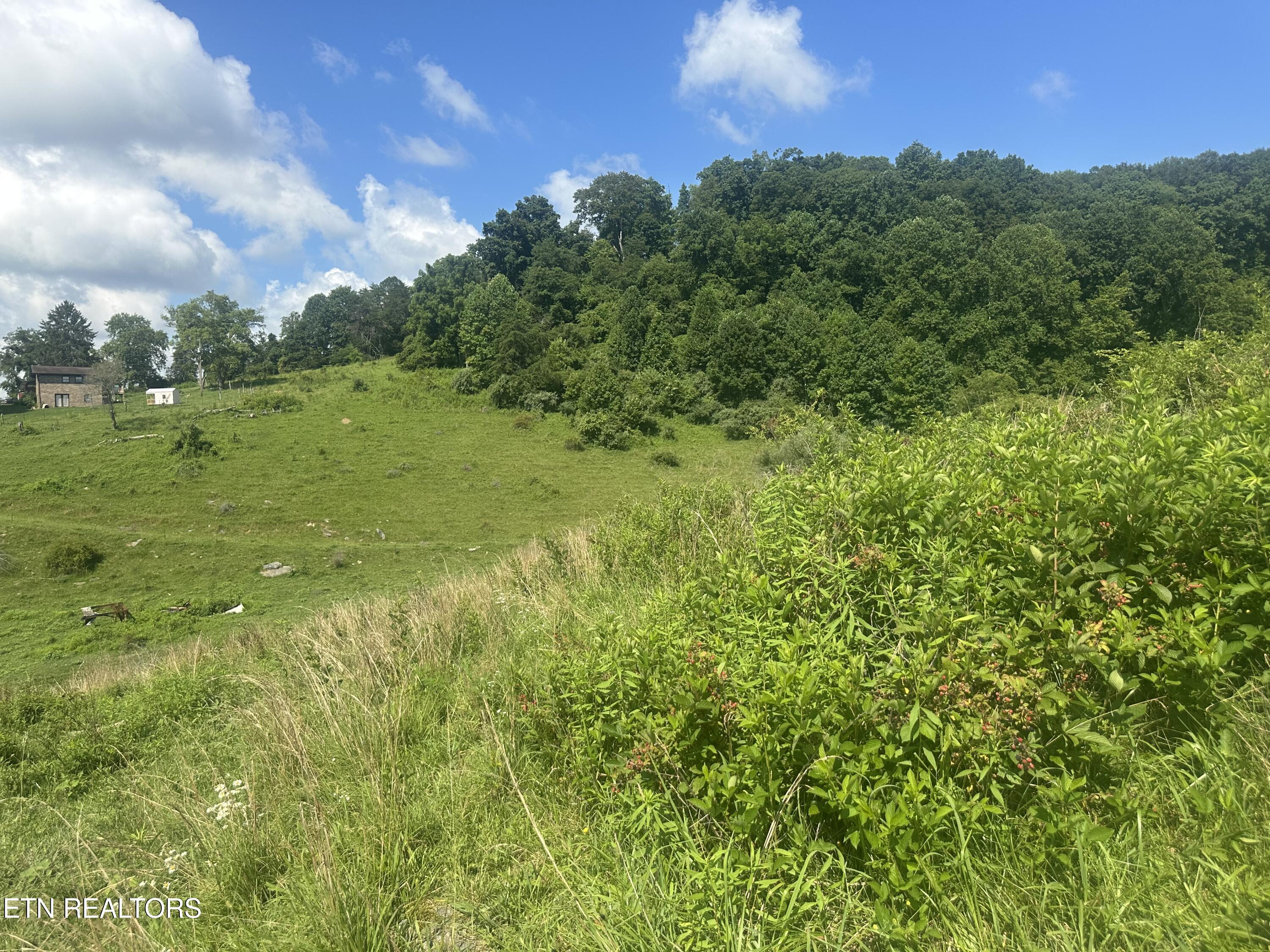 Cumberland Estates Road Cumberland Gap TN 37724