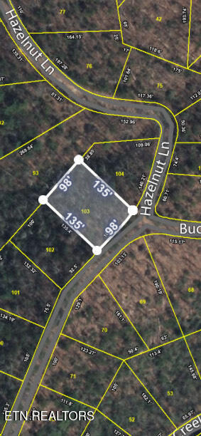 Lot 103 Buckeye Road Sevierville TN 37876