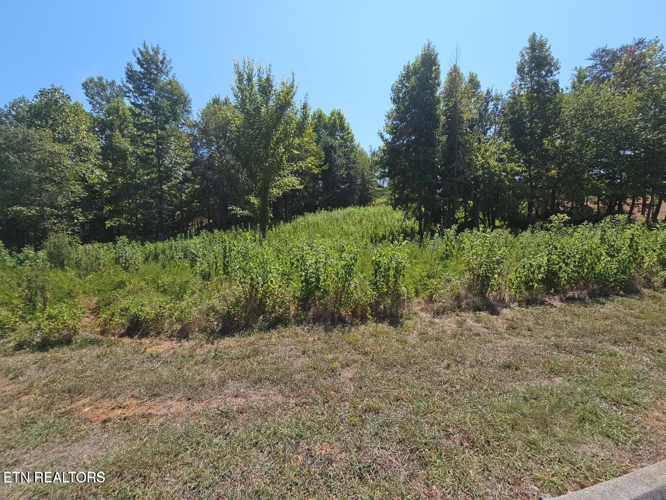 Lot 41 Meadow Lane Harriman TN 37748
