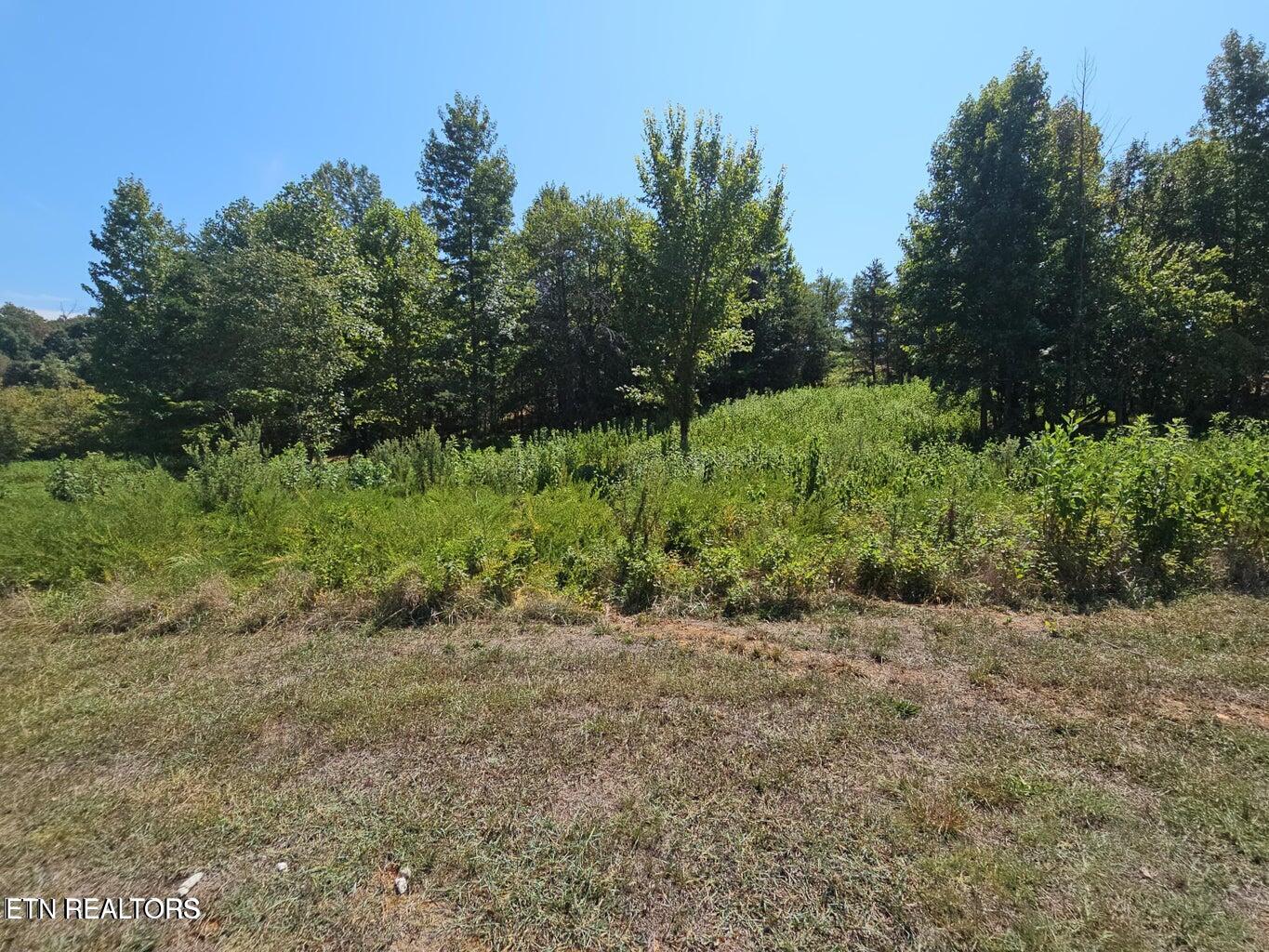 Lot 41 Meadow Lane Harriman TN 37748