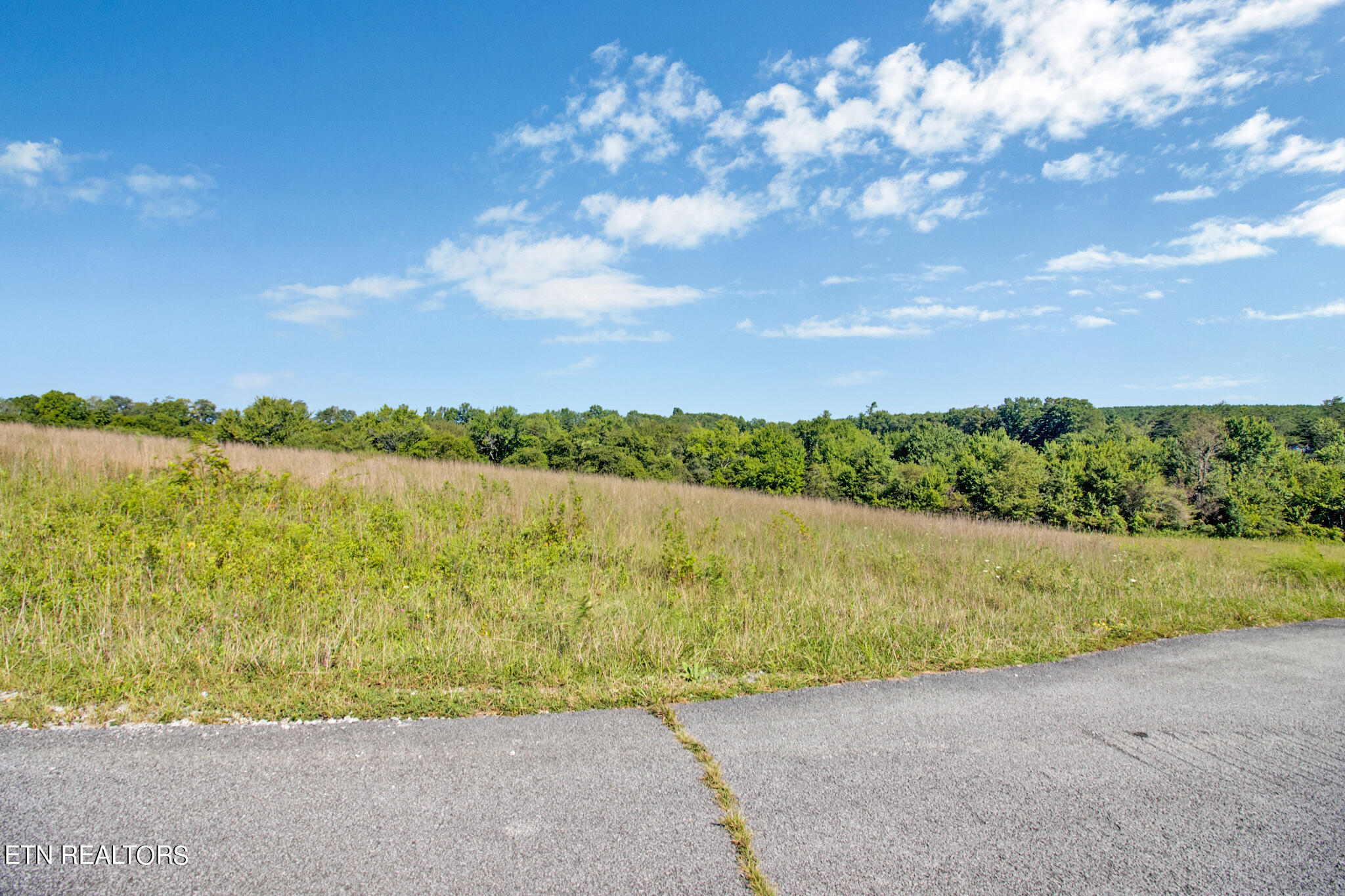 Lot 39 Estate Lane Crossville TN 38555