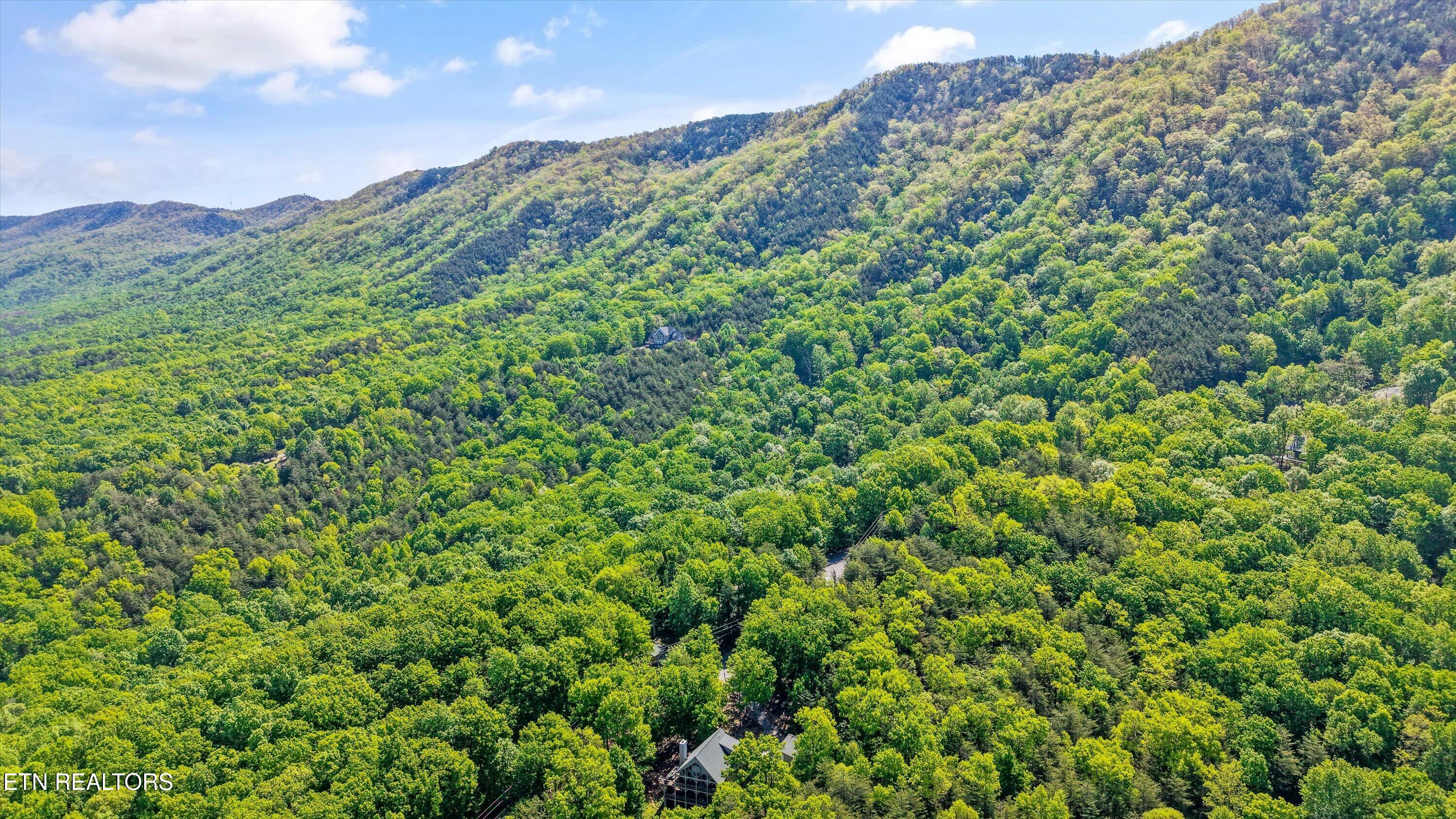 Tract 77 Chilhowee Trail Maryville TN 37803