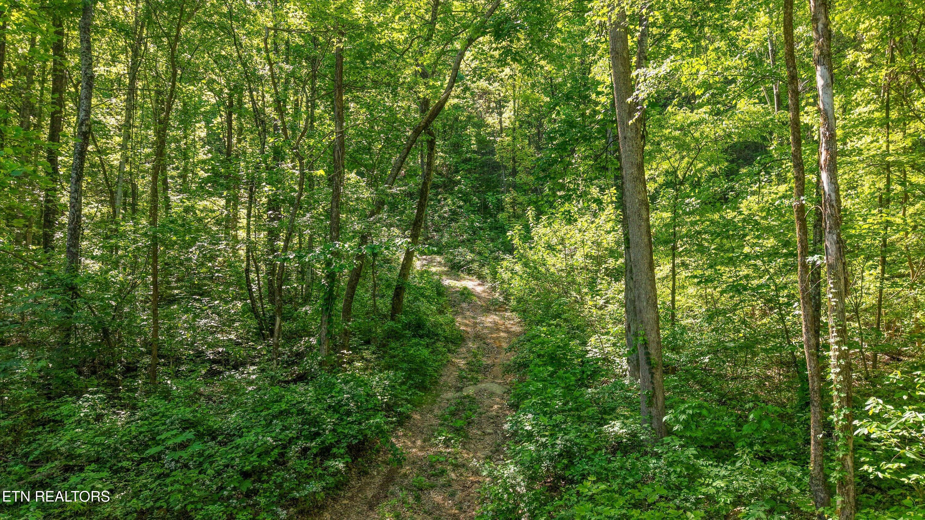 Tract 77 Chilhowee Trail Maryville TN 37803