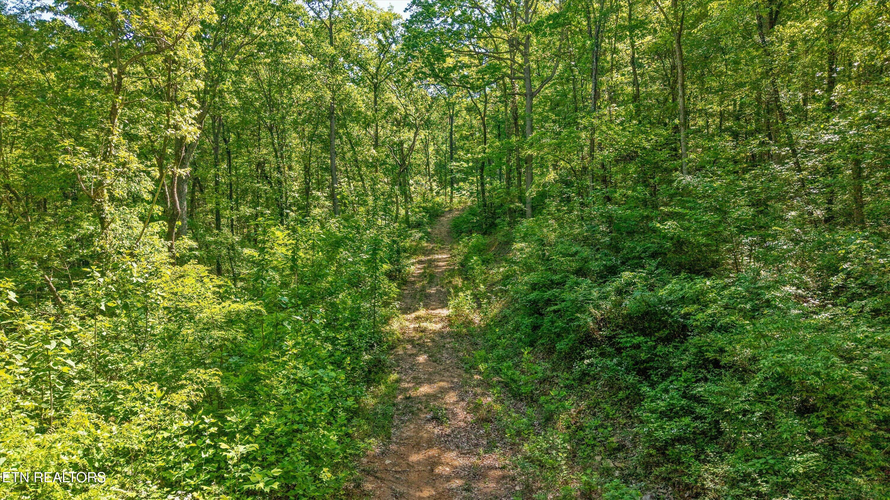 Tract 77 Chilhowee Trail Maryville TN 37803