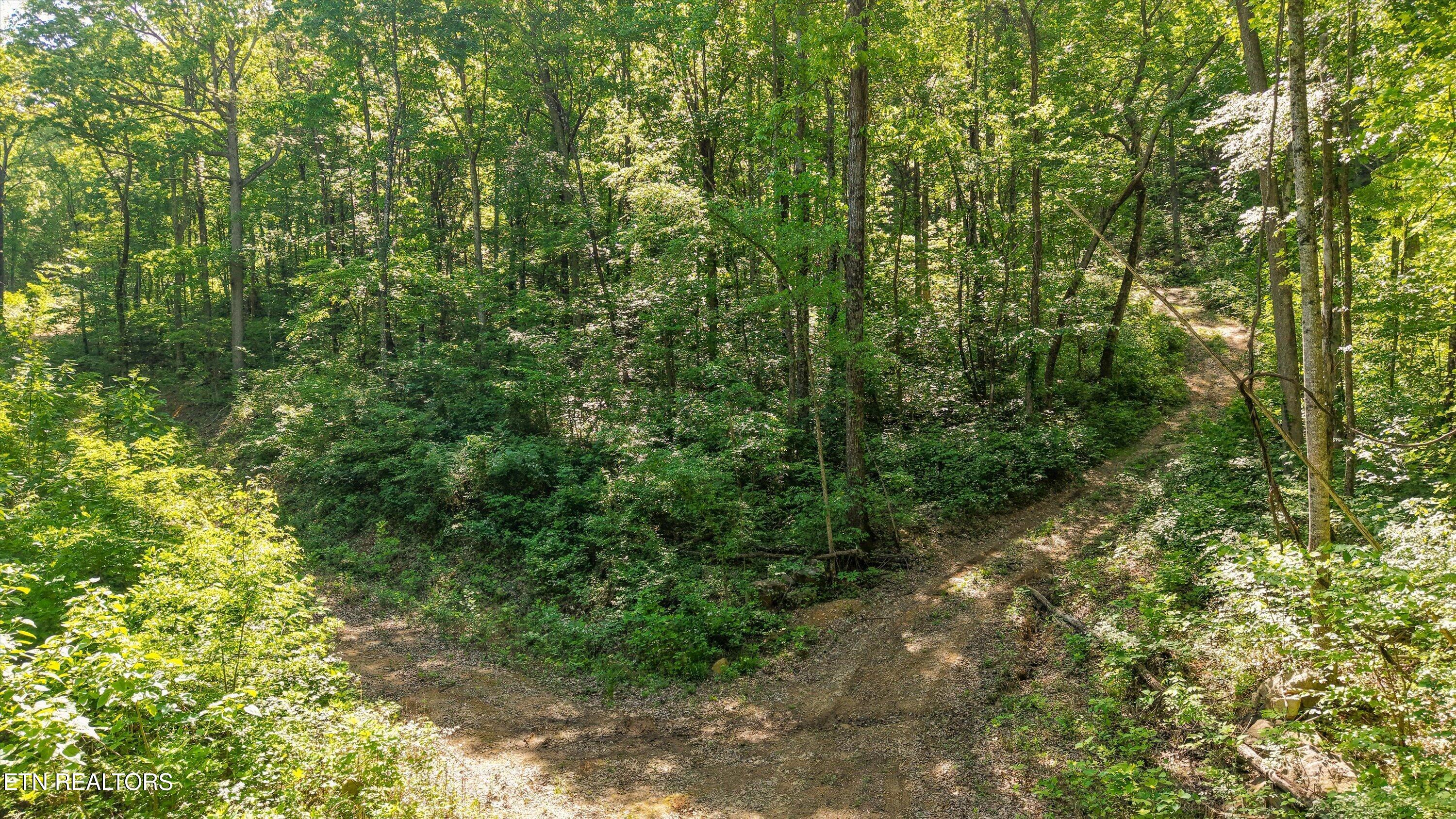 Tract 77 Chilhowee Trail Maryville TN 37803