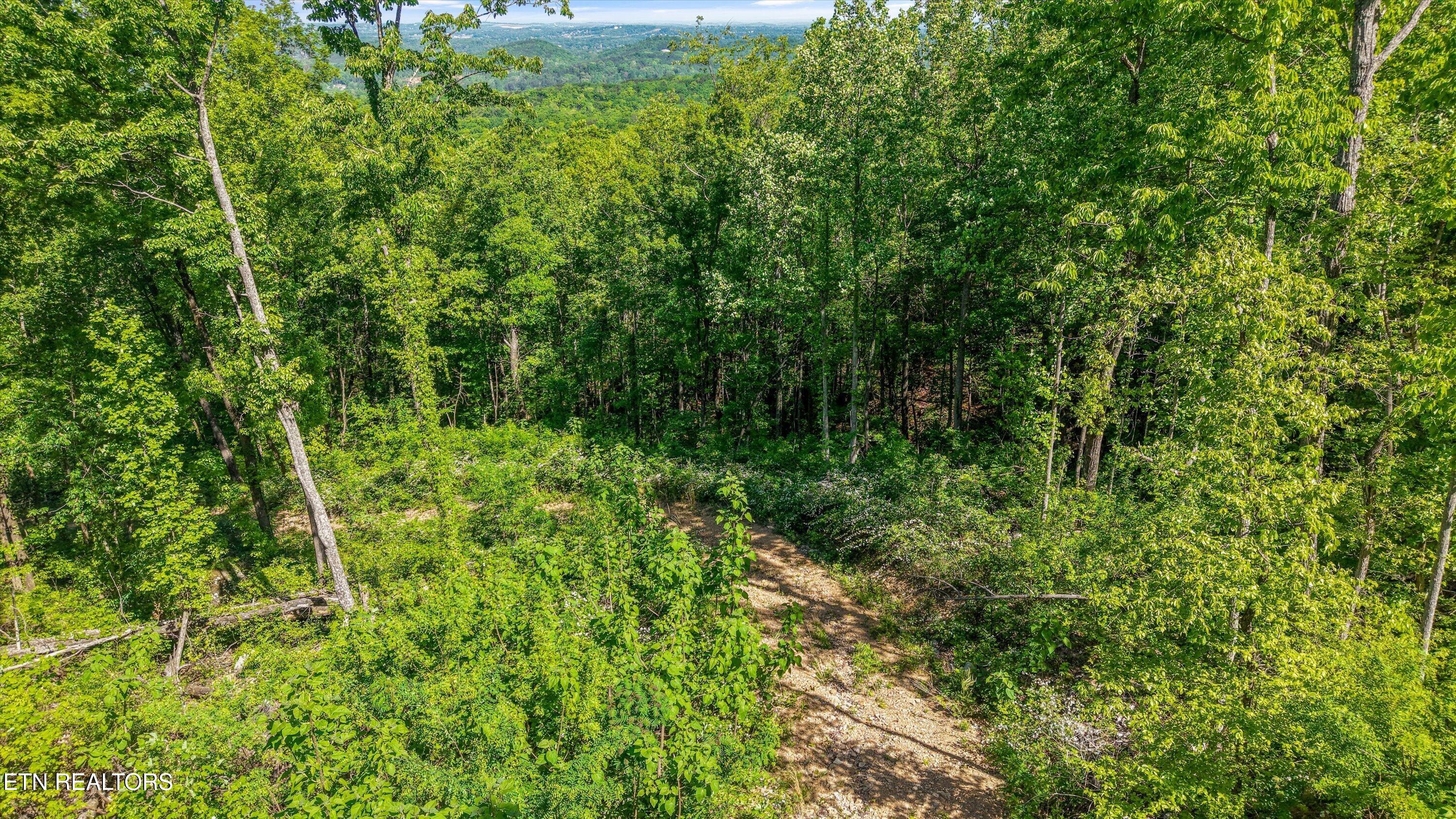 Tract 77 Chilhowee Trail Maryville TN 37803