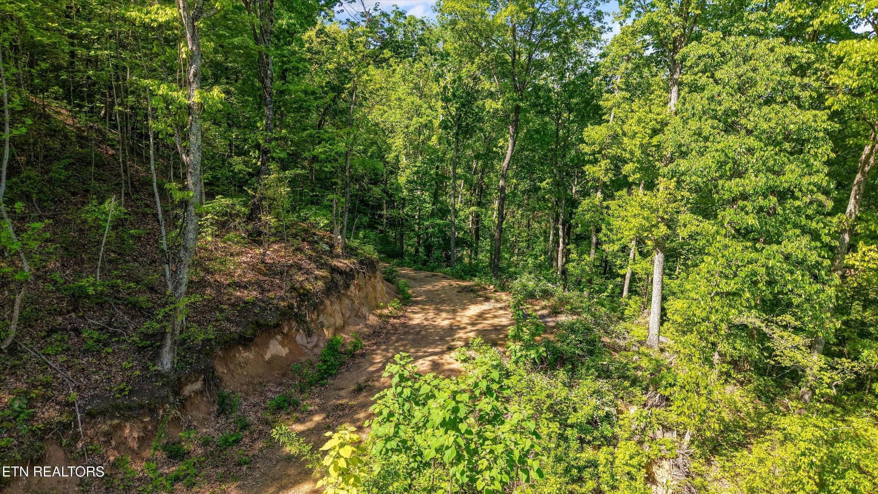 Tract 77 Chilhowee Trail Maryville TN 37803