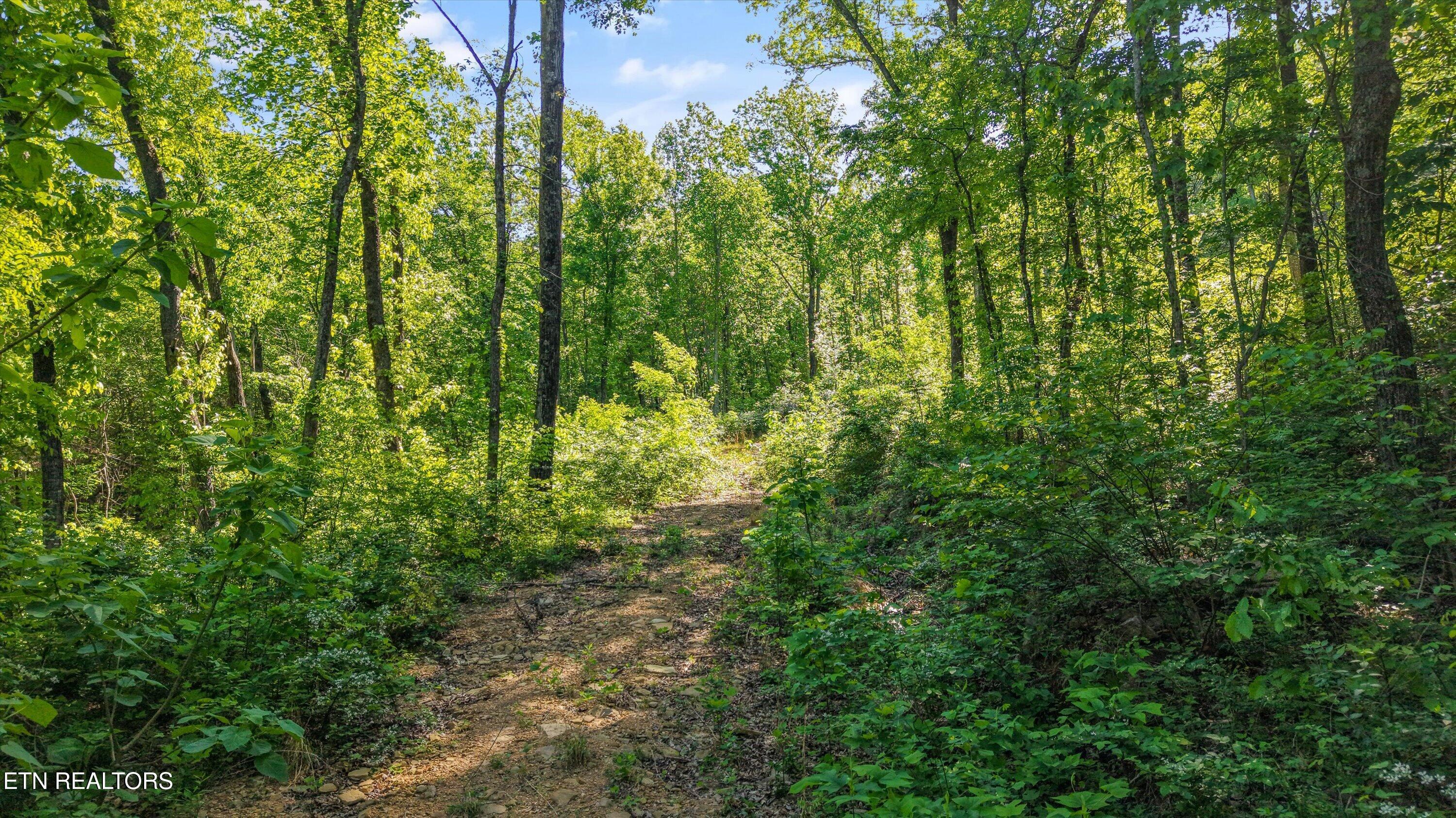 Tract 77 Chilhowee Trail Maryville TN 37803