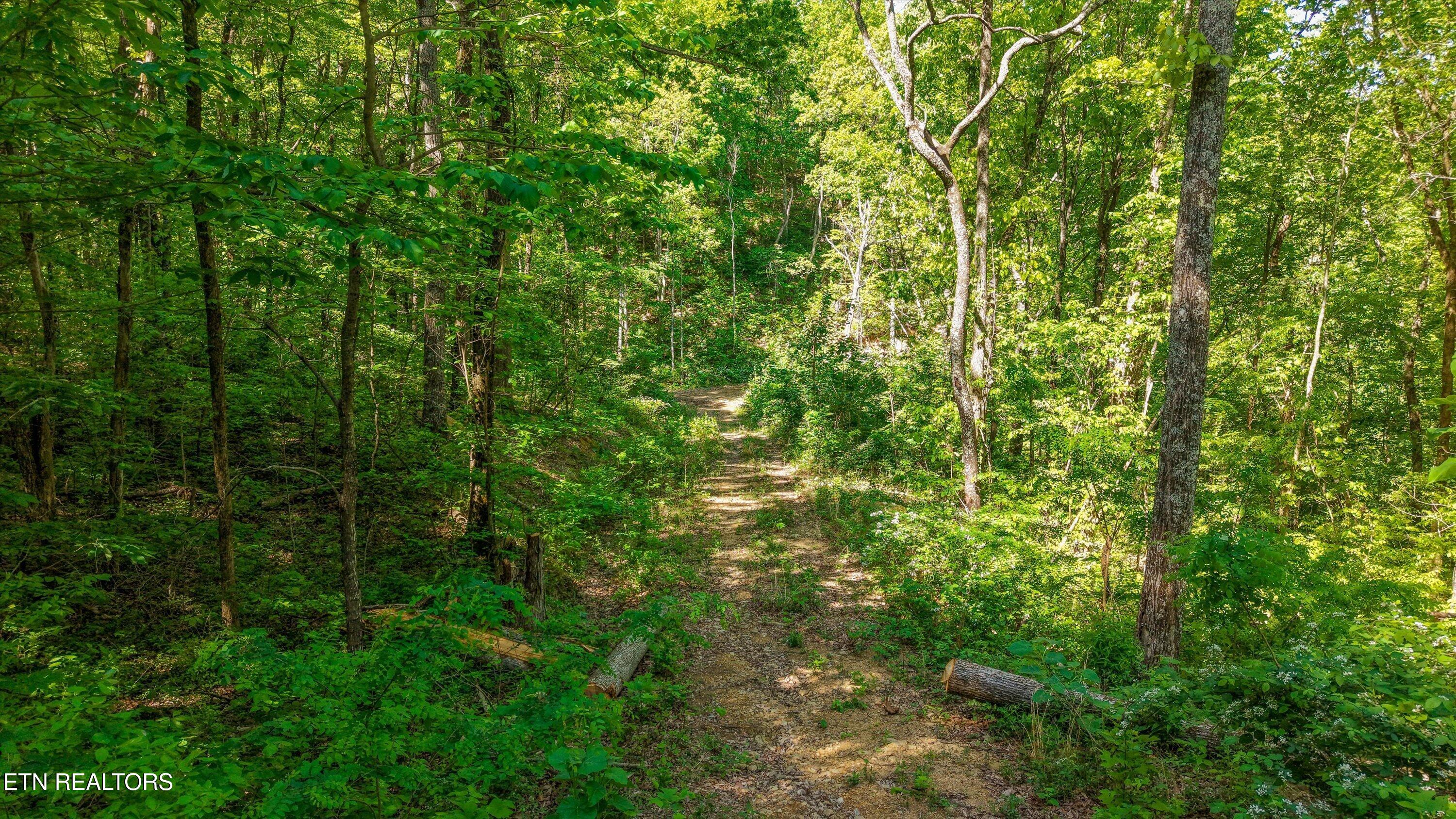 Tract 77 Chilhowee Trail Maryville TN 37803