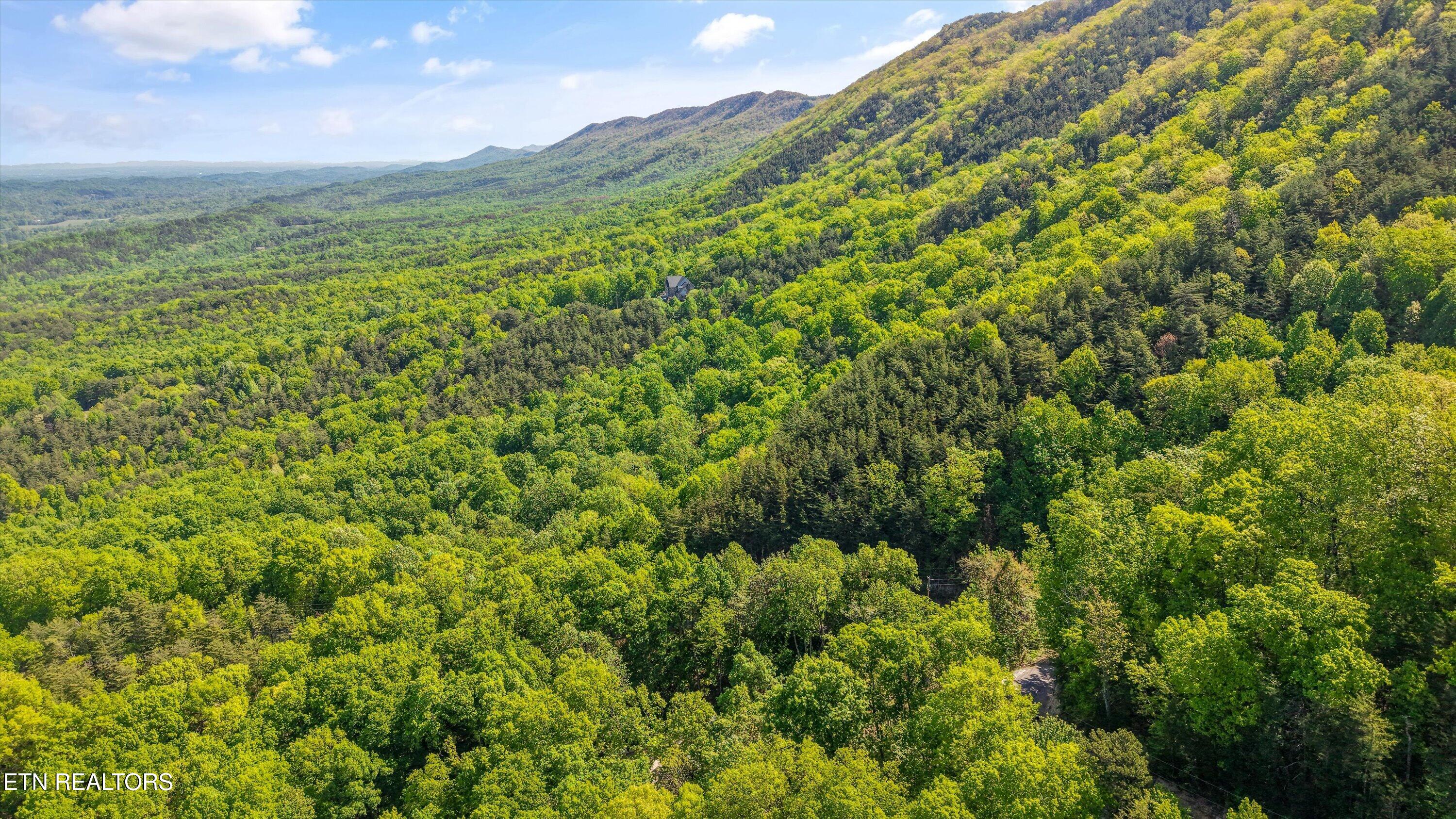 Tract 77 Chilhowee Trail Maryville TN 37803