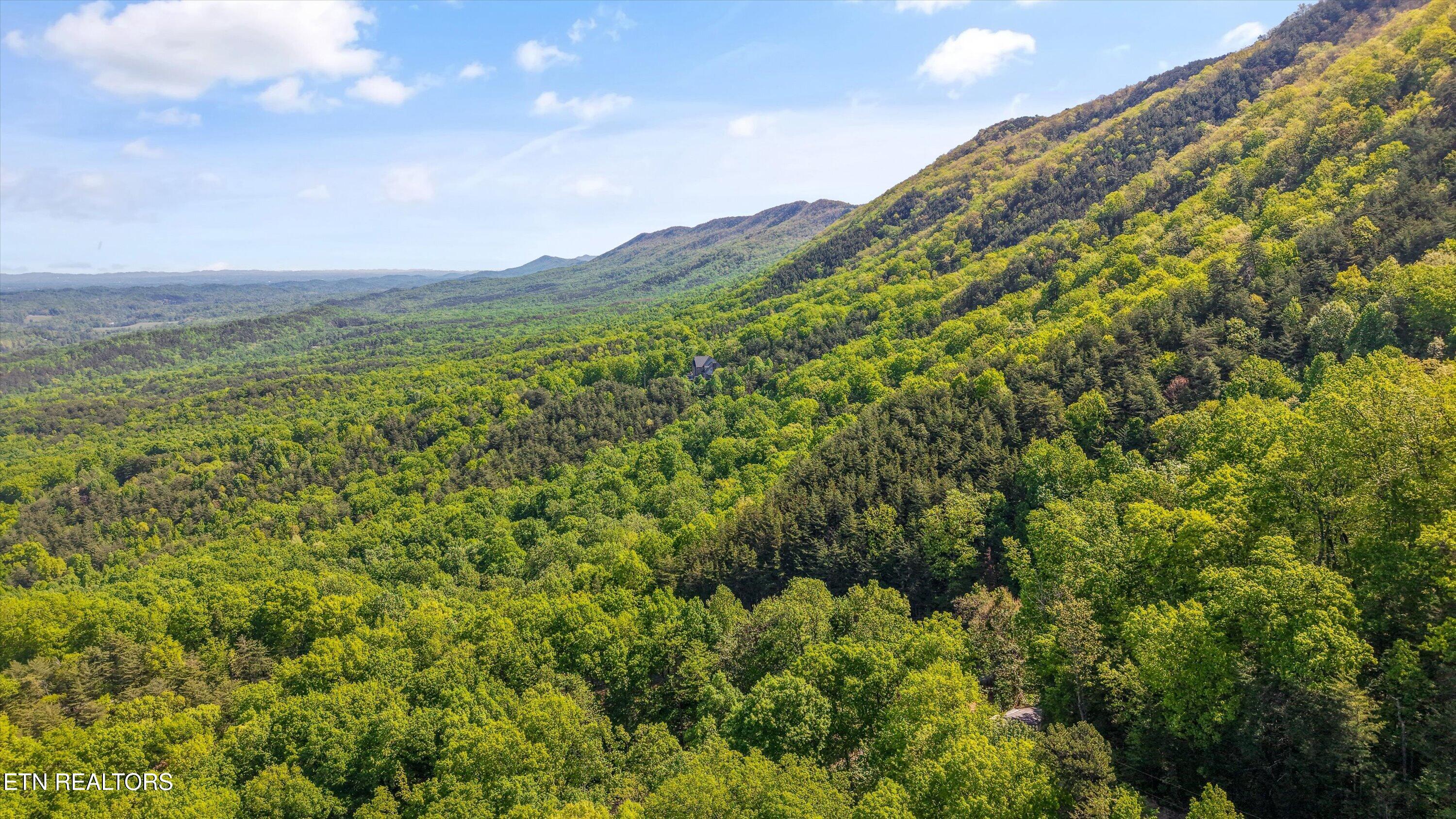Tract 77 Chilhowee Trail Maryville TN 37803