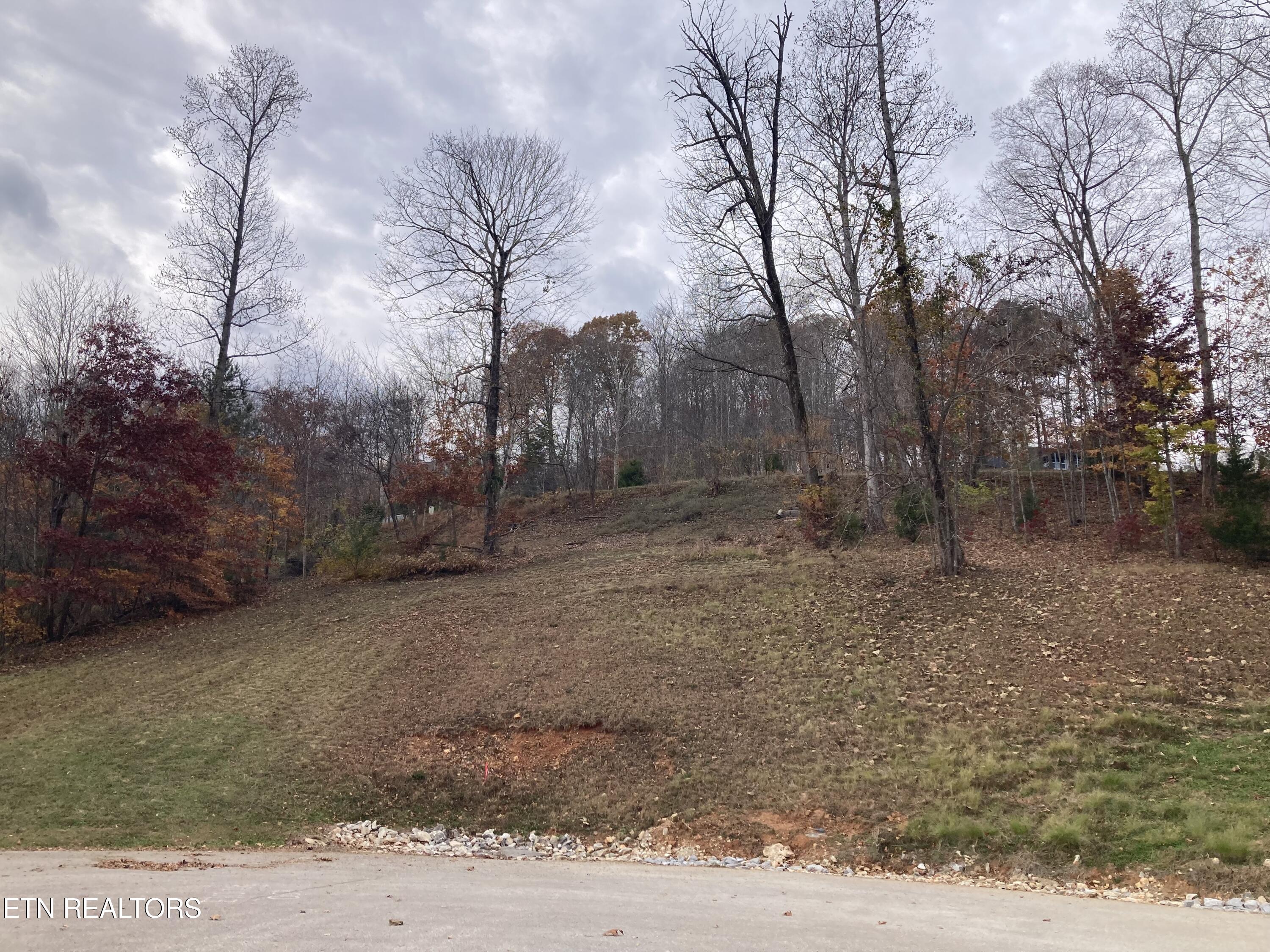 Lot 234 Suncrest Cove Lafollette TN 37766