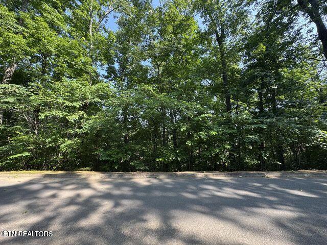 Hawks Nest Way Sevierville TN 37862