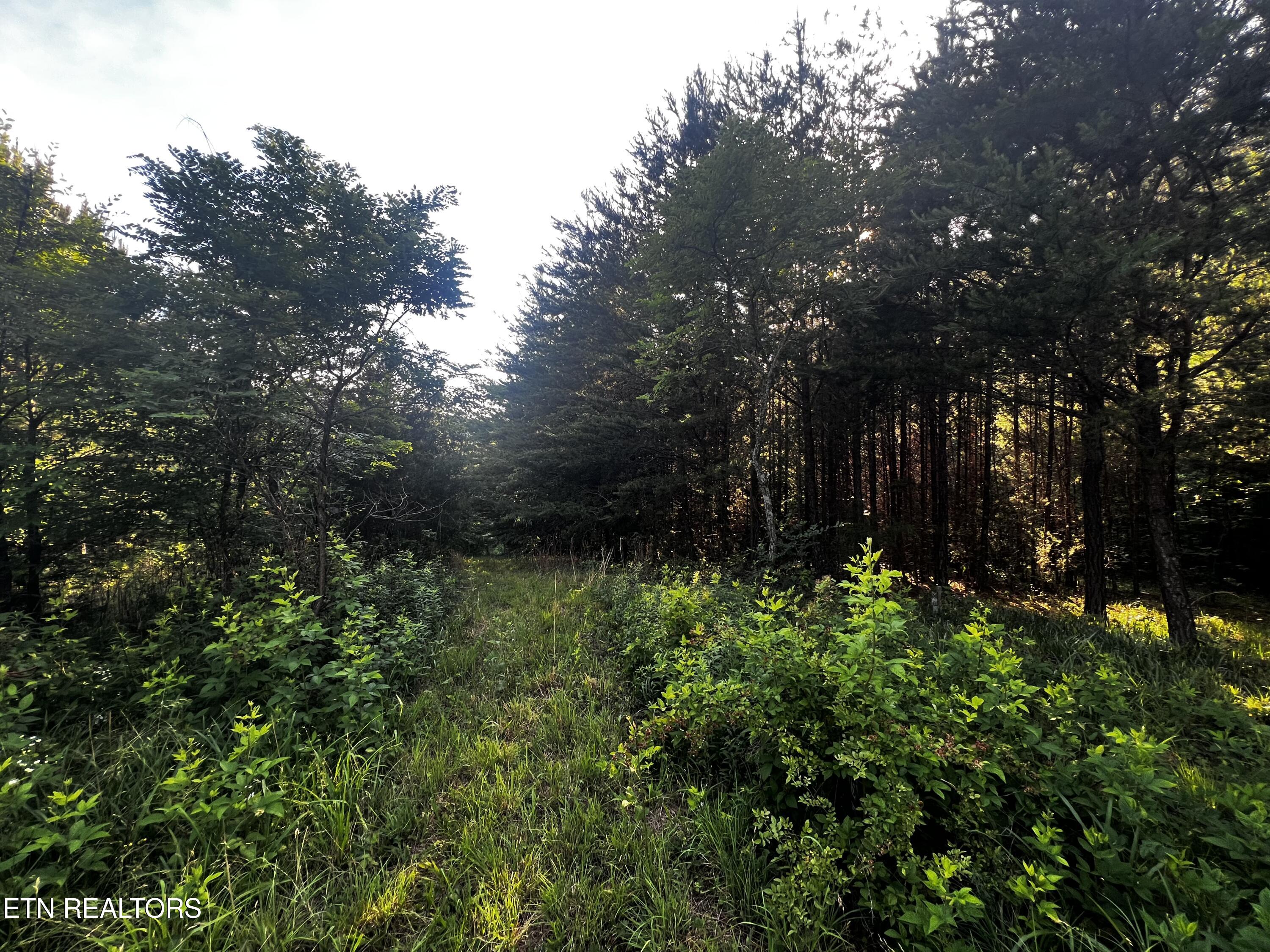 420 Blowing Cave Road Sevierville TN 37876