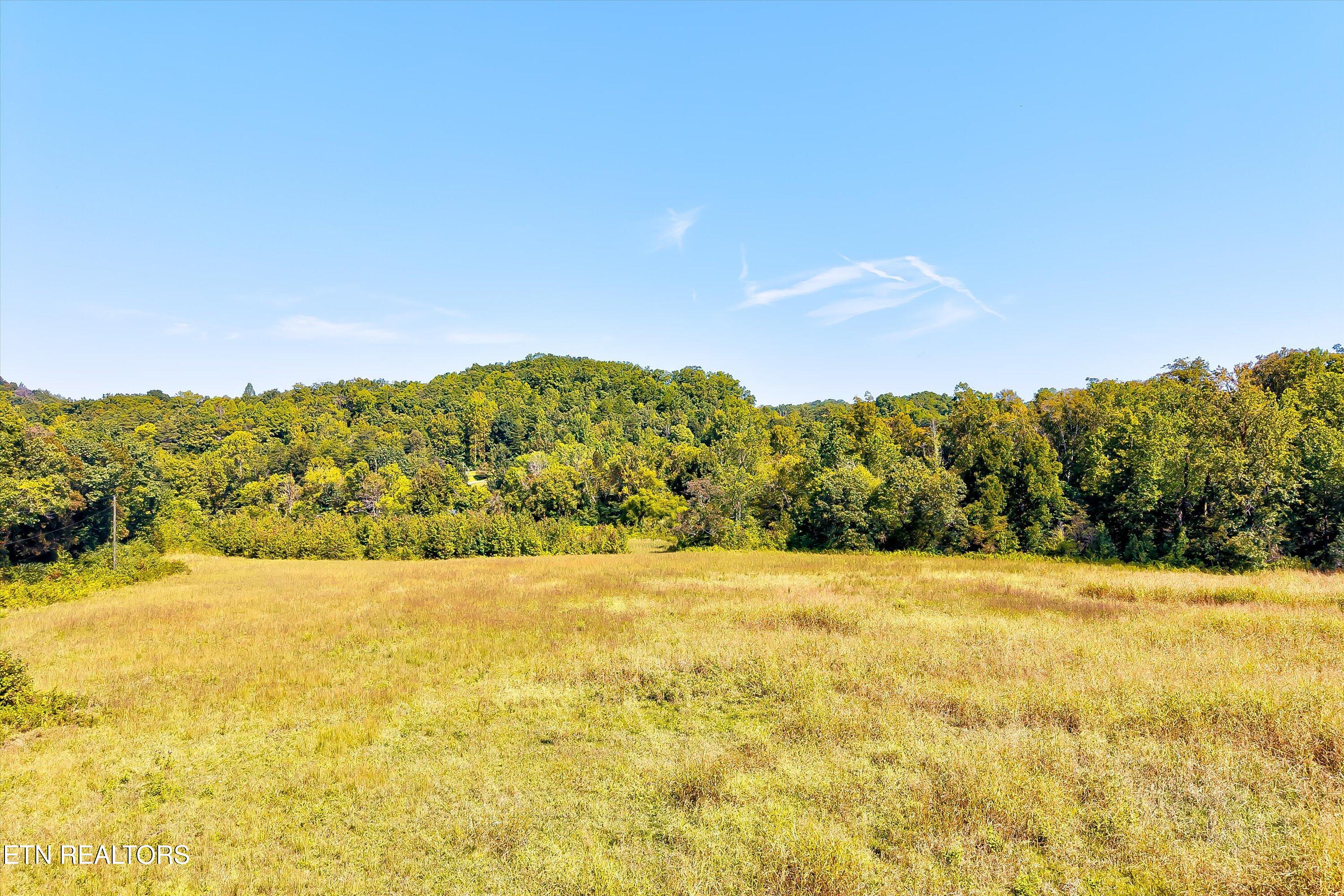 Sauls Road Seymour TN 37865