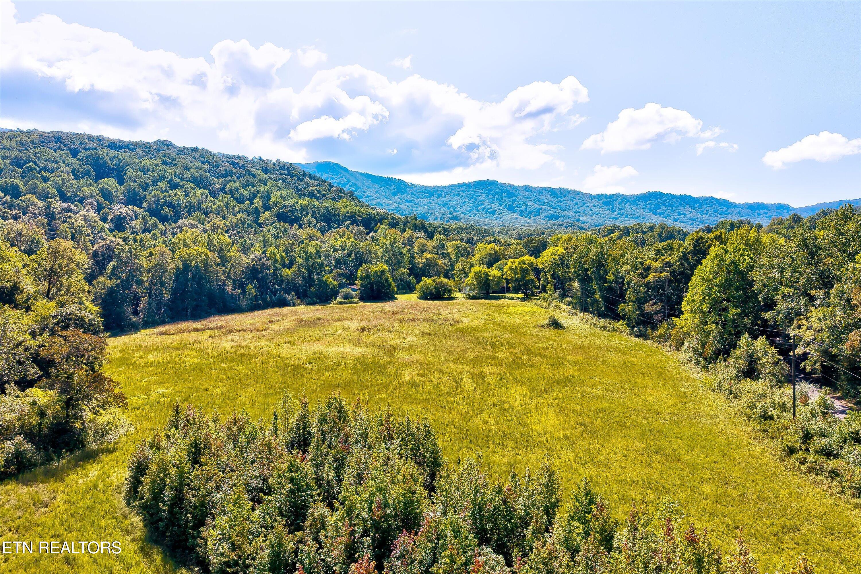 Sauls Road Seymour TN 37865