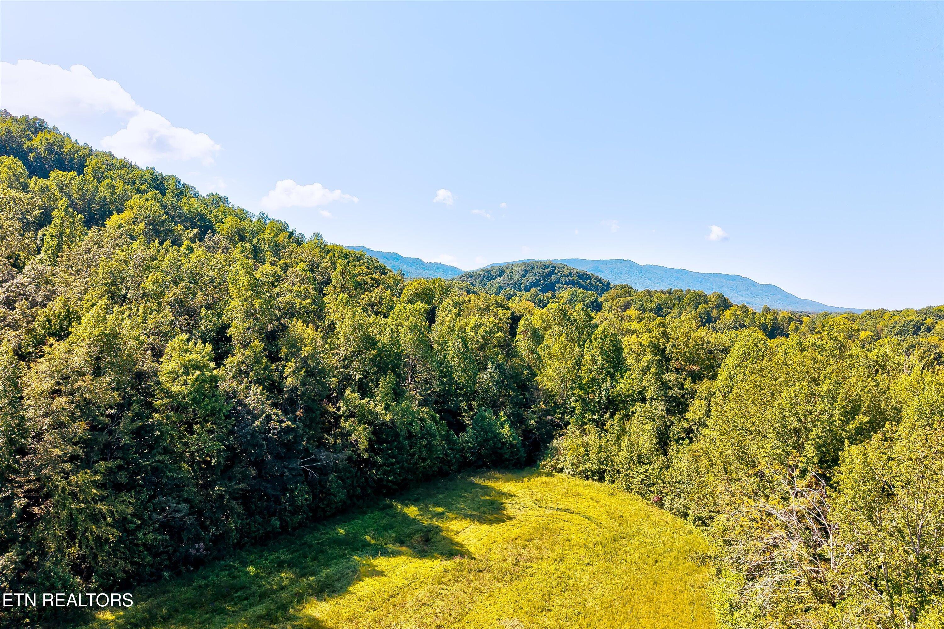 Sauls Road Seymour TN 37865