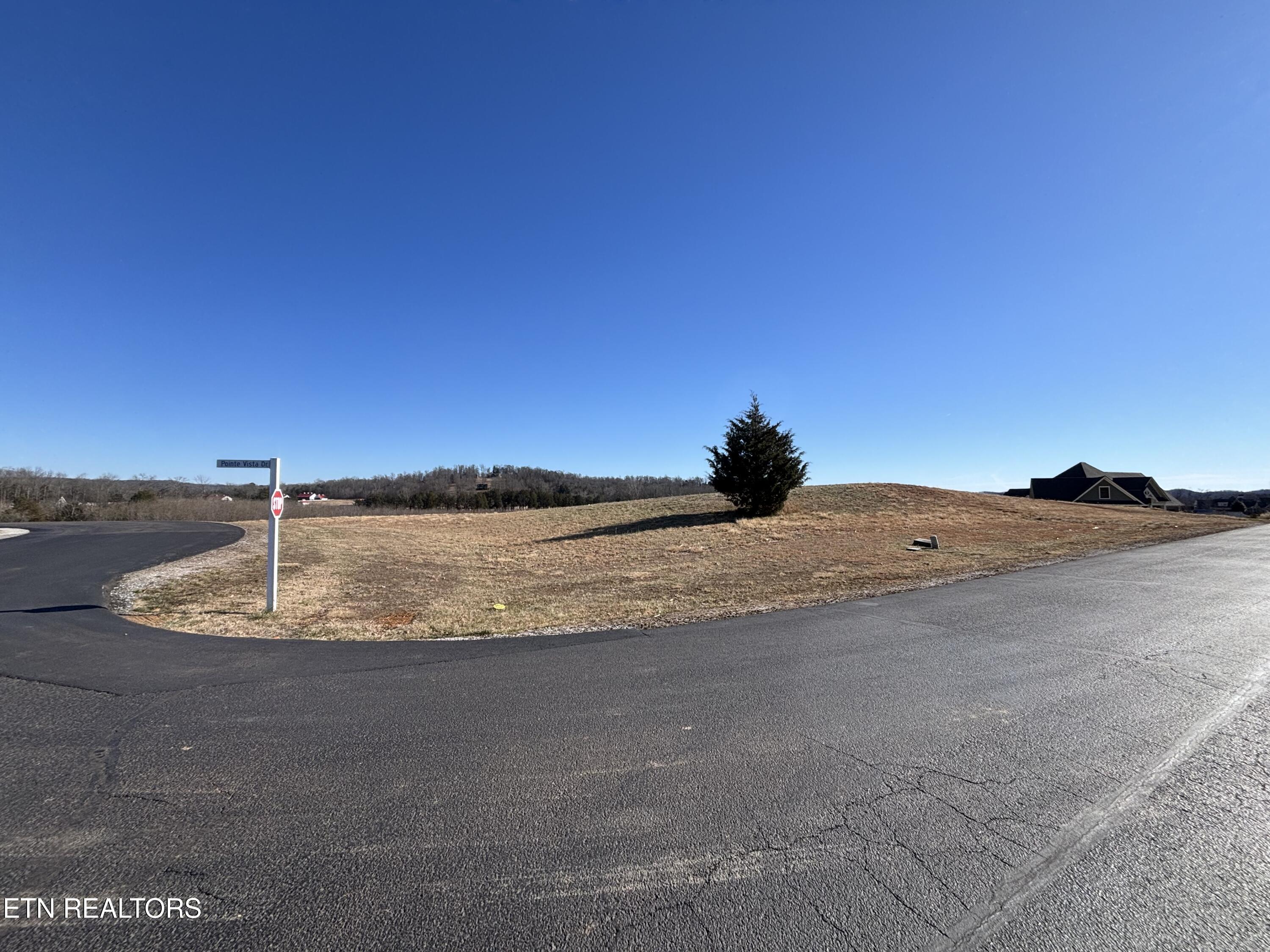 Pointe Vista Drive Rockwood TN 37854