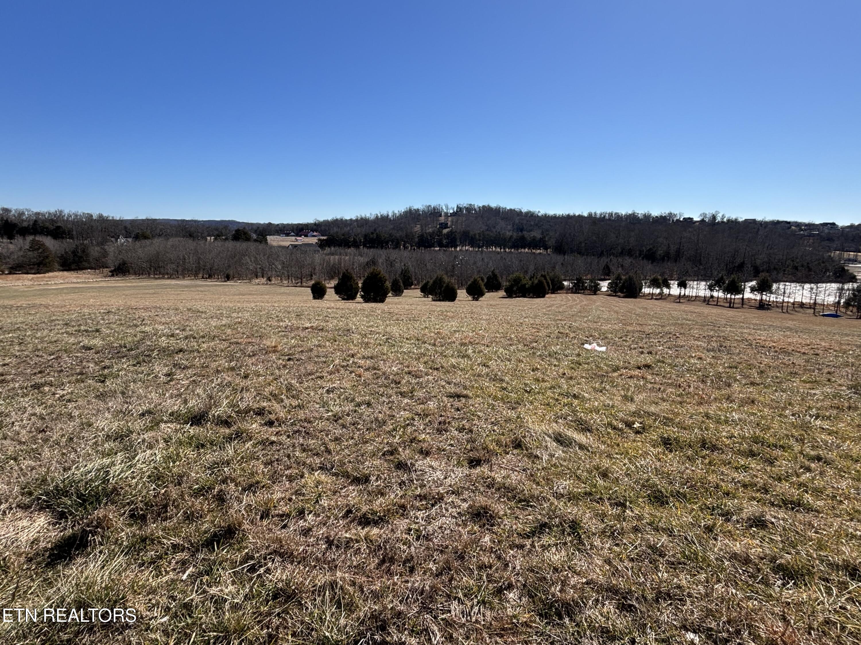 Pointe Vista Drive Rockwood TN 37854
