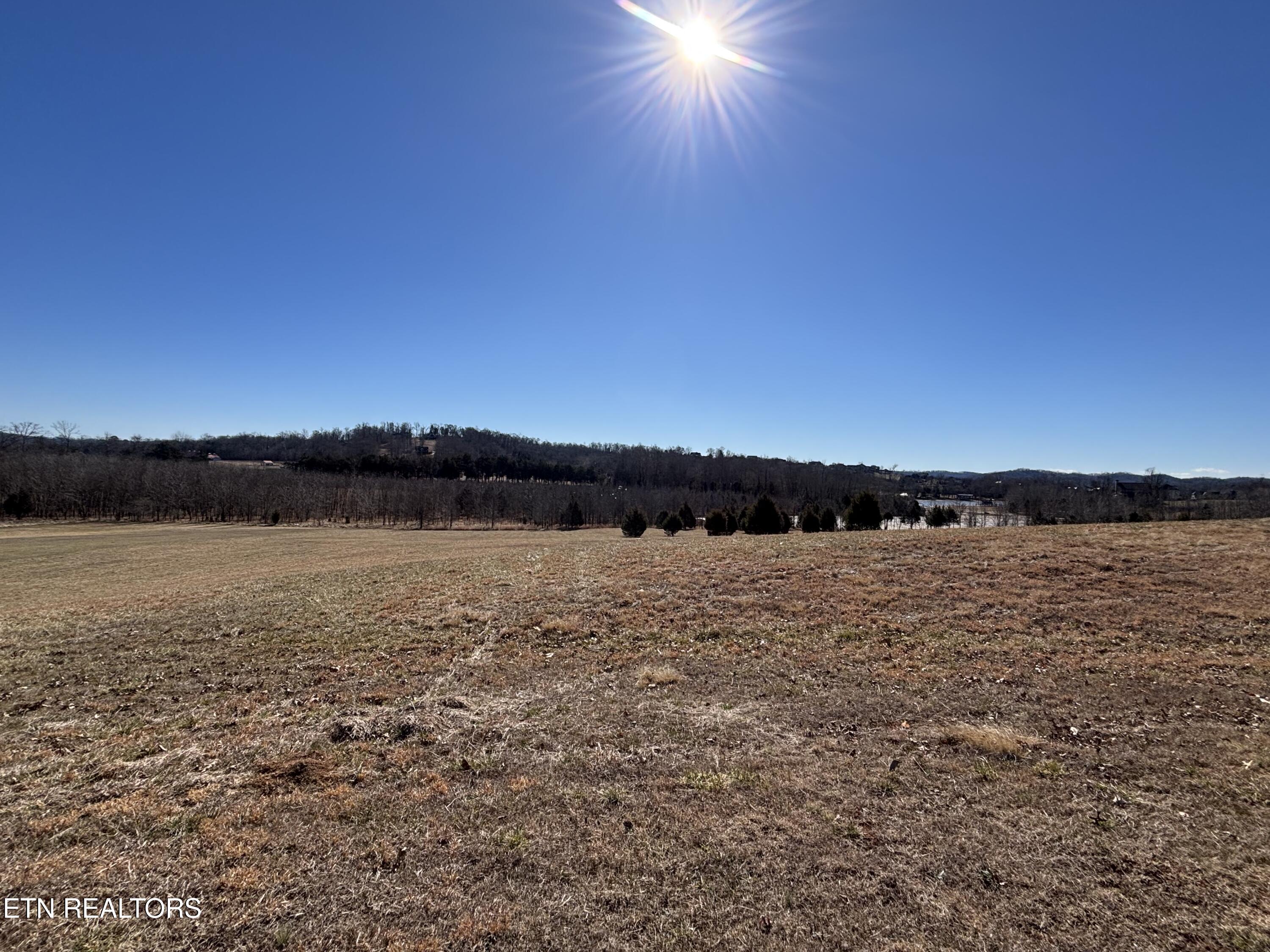 Pointe Vista Drive Rockwood TN 37854