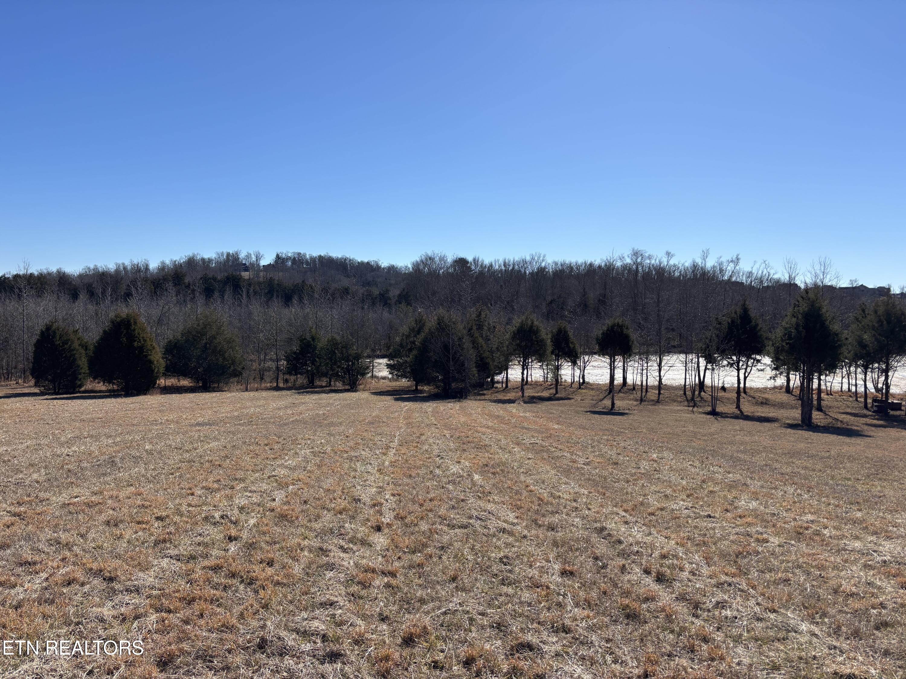 Pointe Vista Drive Rockwood TN 37854