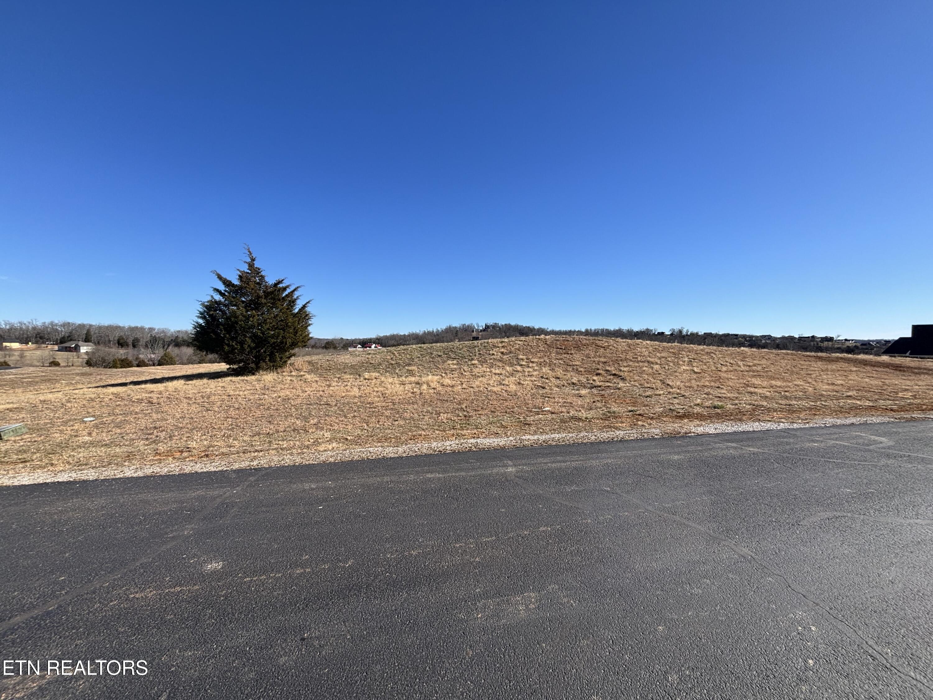 Pointe Vista Drive Rockwood TN 37854