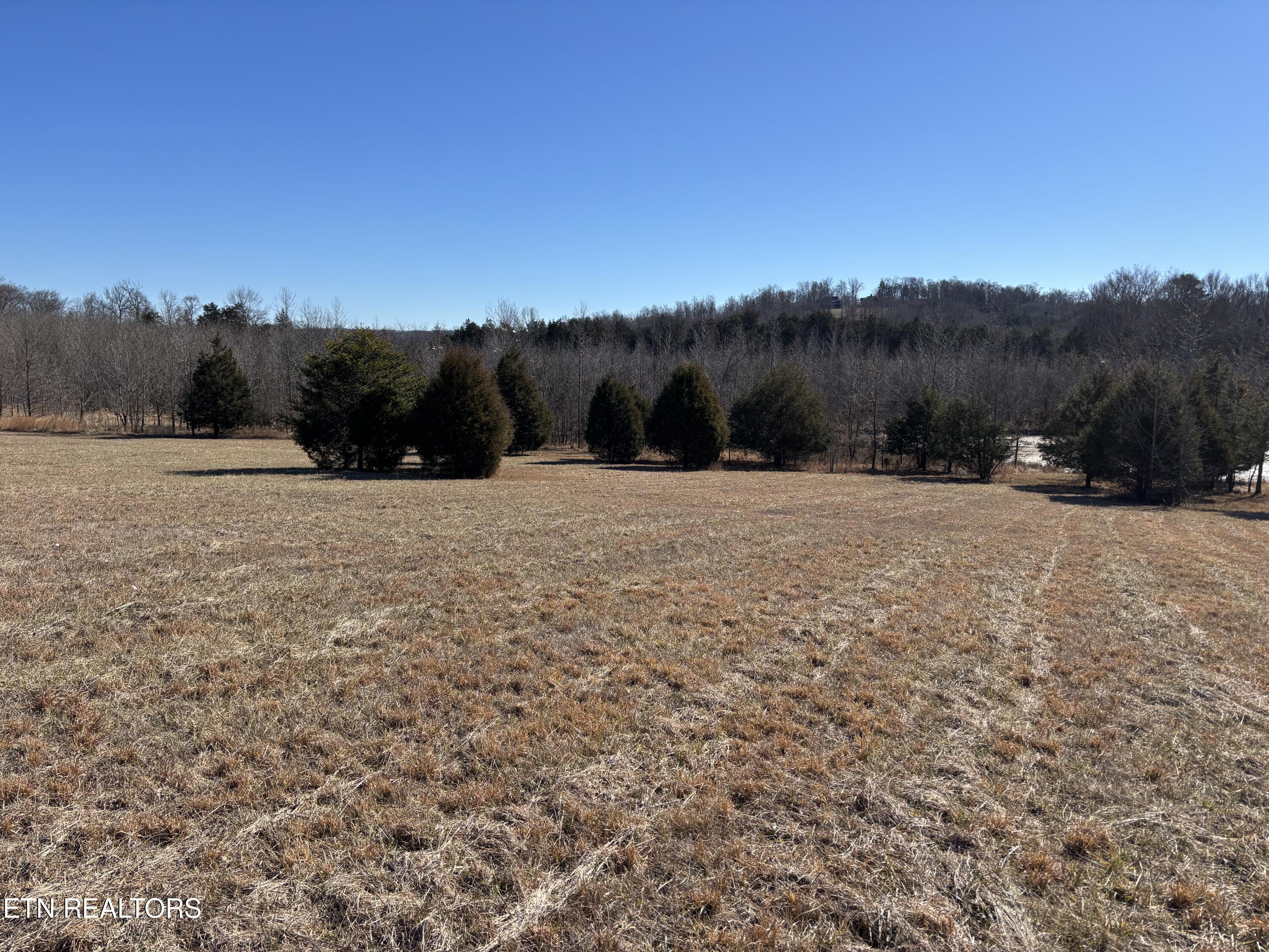 Pointe Vista Drive Rockwood TN 37854