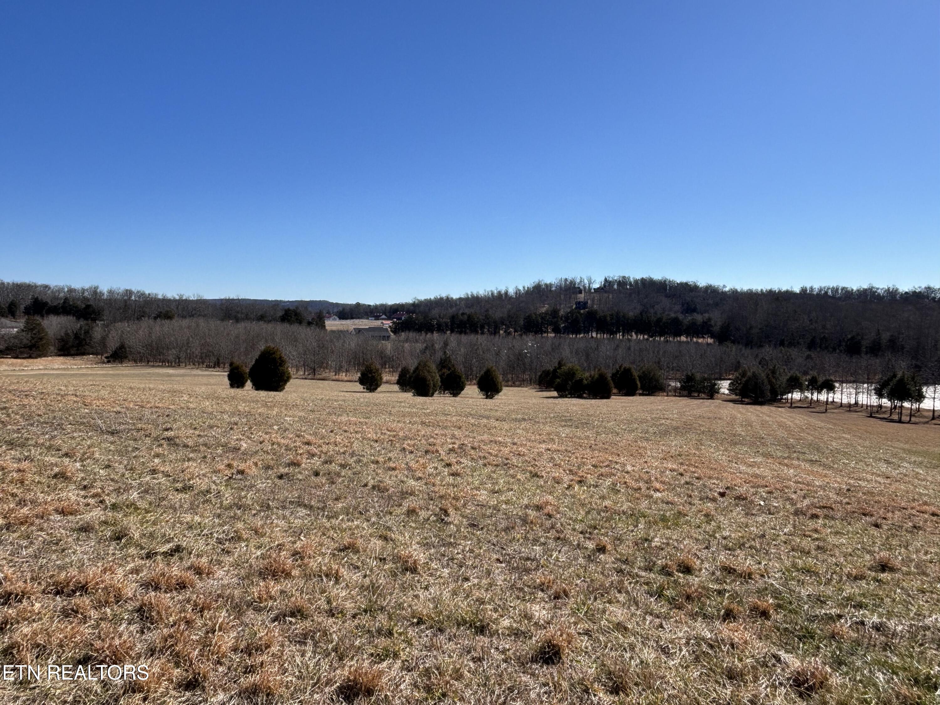 Pointe Vista Drive Rockwood TN 37854