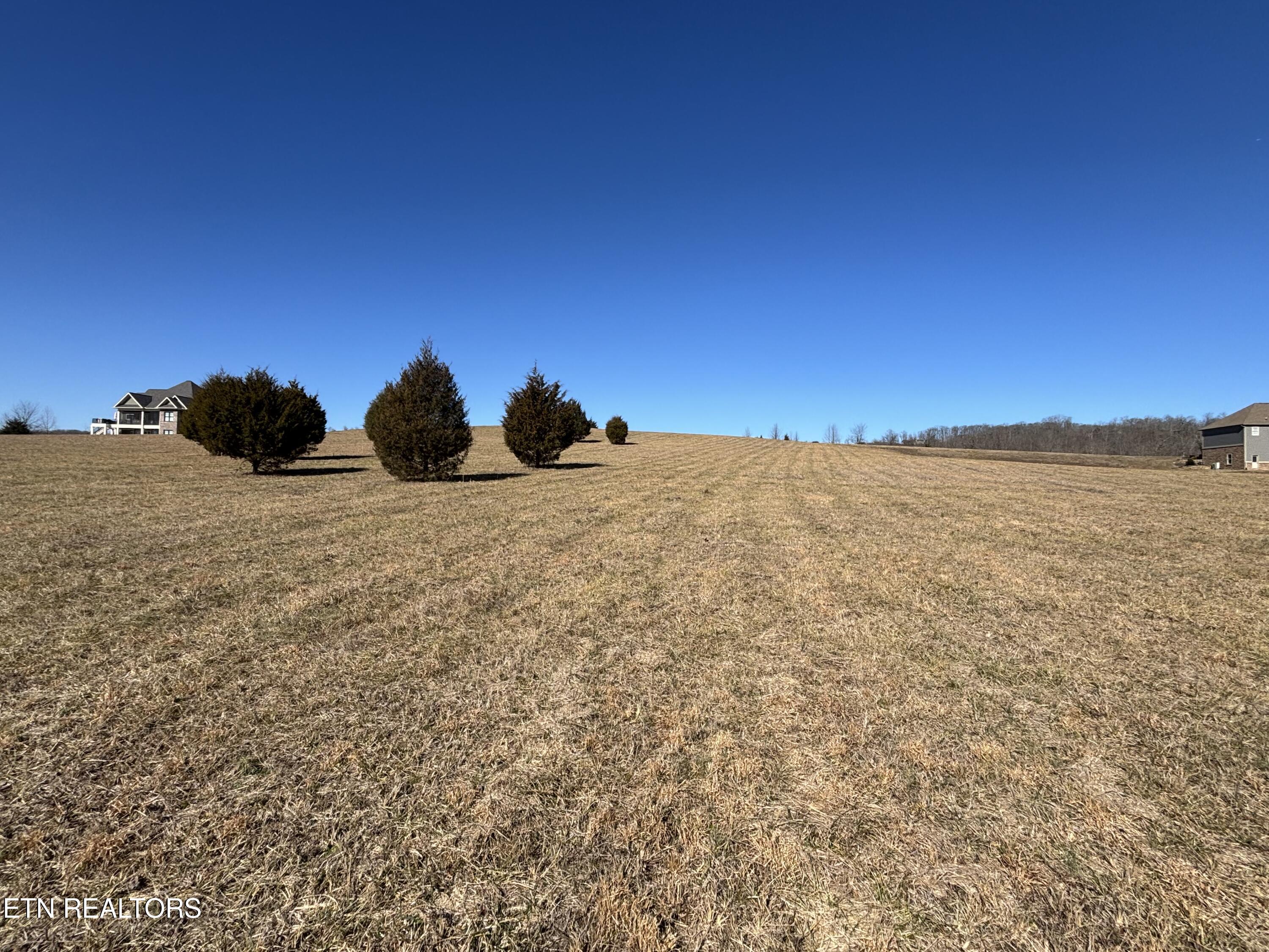 Pointe Vista Drive Rockwood TN 37854