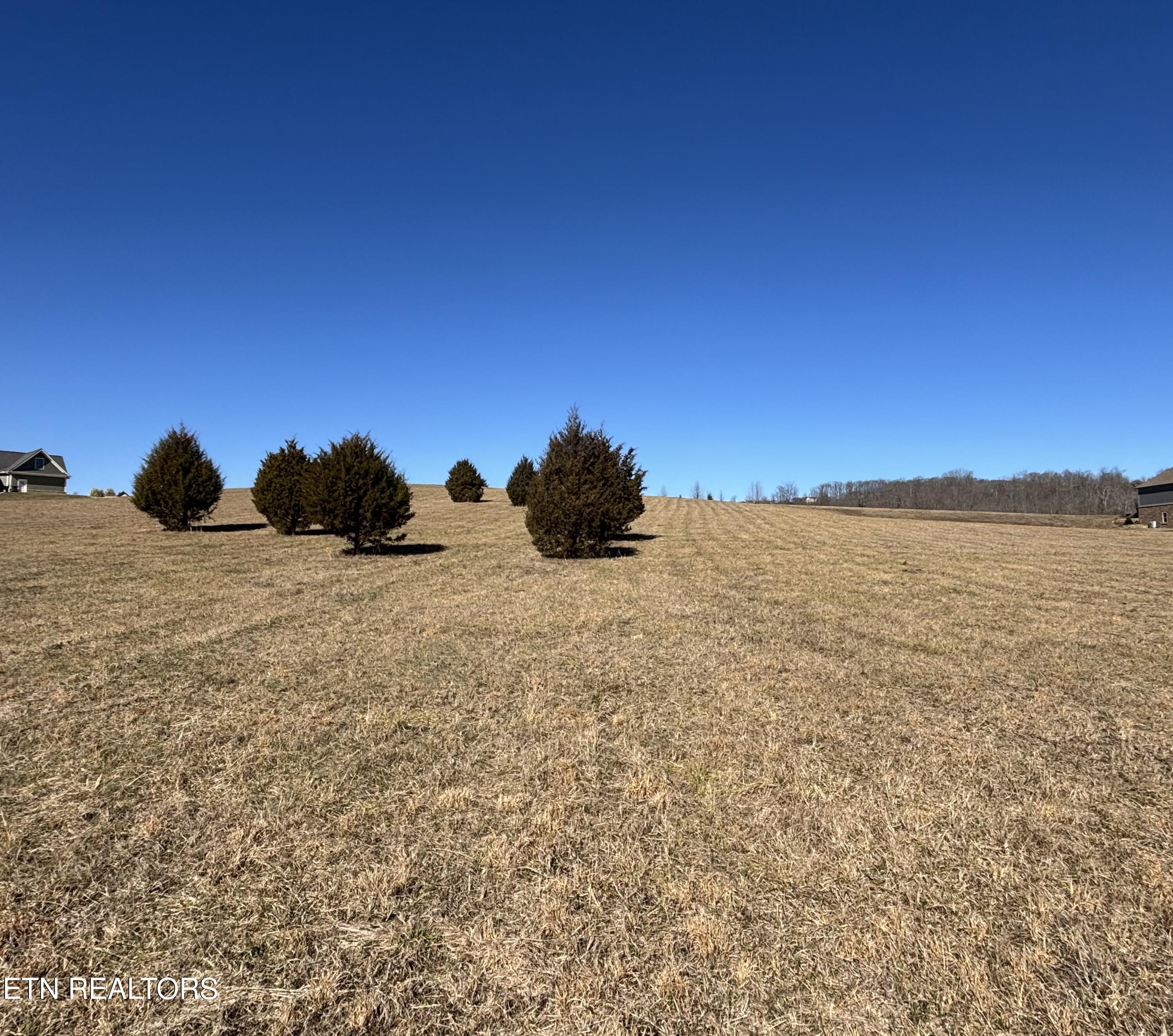 Pointe Vista Drive Rockwood TN 37854