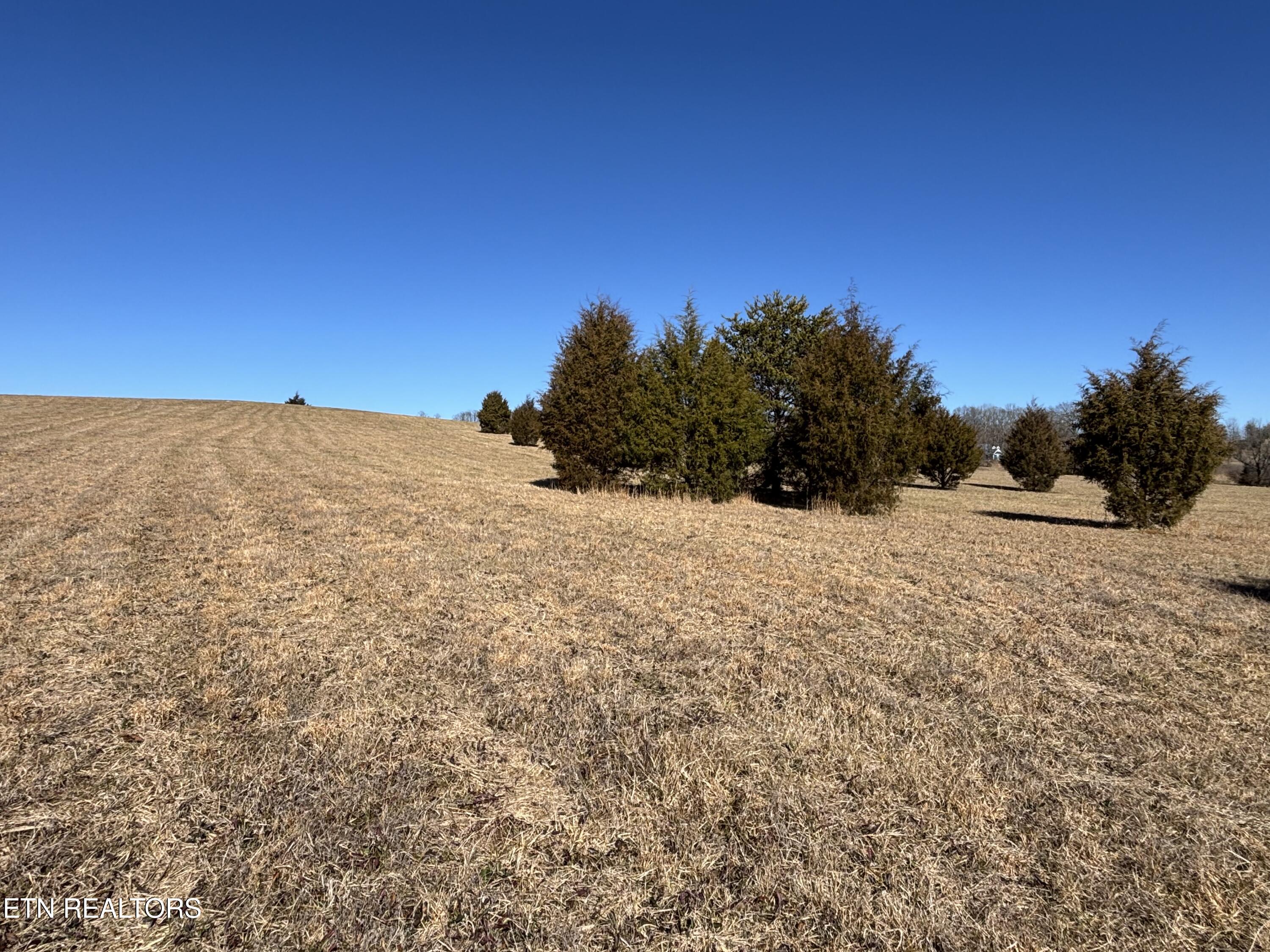 Pointe Vista Drive Rockwood TN 37854